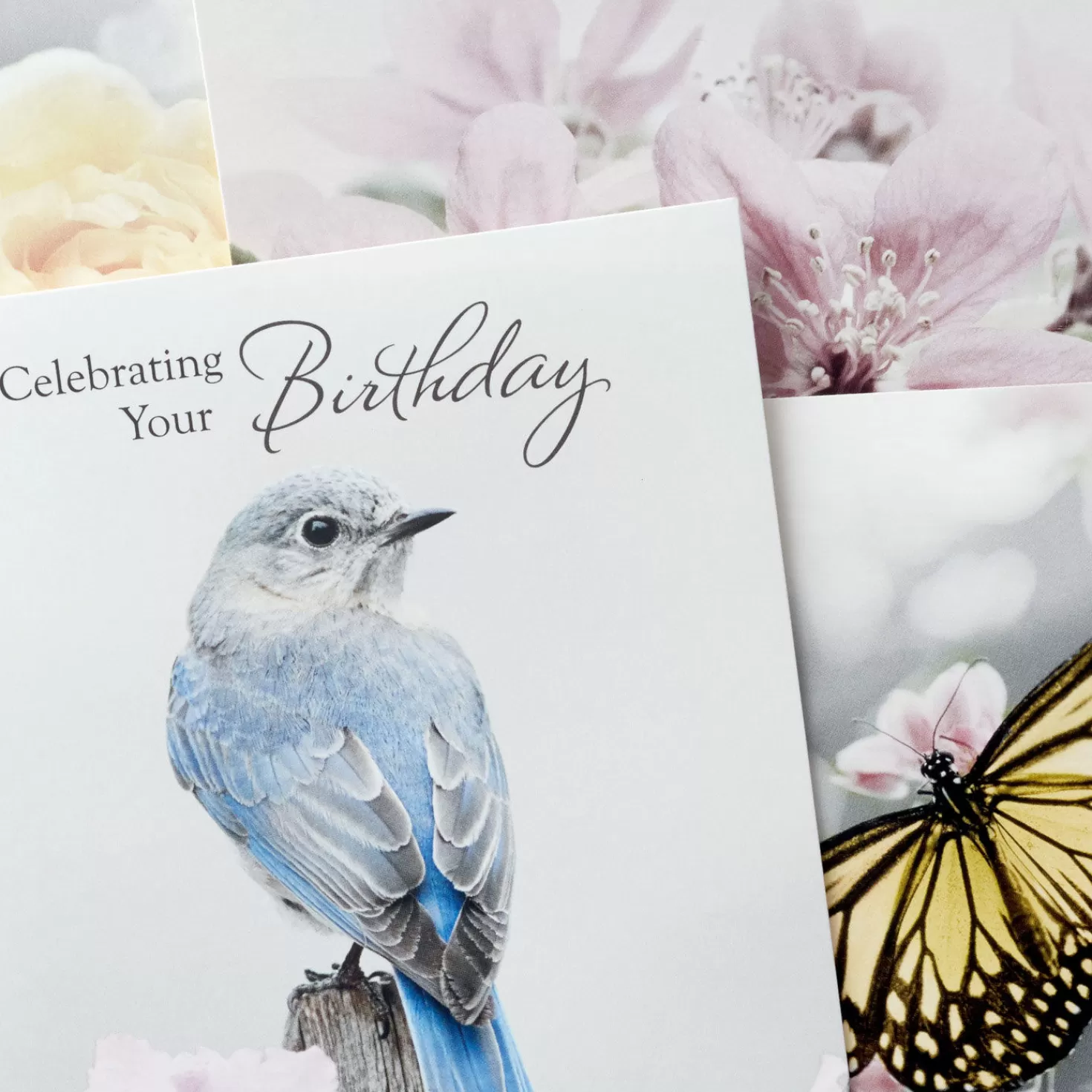 Birthday>Hallmark Nature's Beauty Religious Boxed Birthday Cards Assortment, Pack Of 12