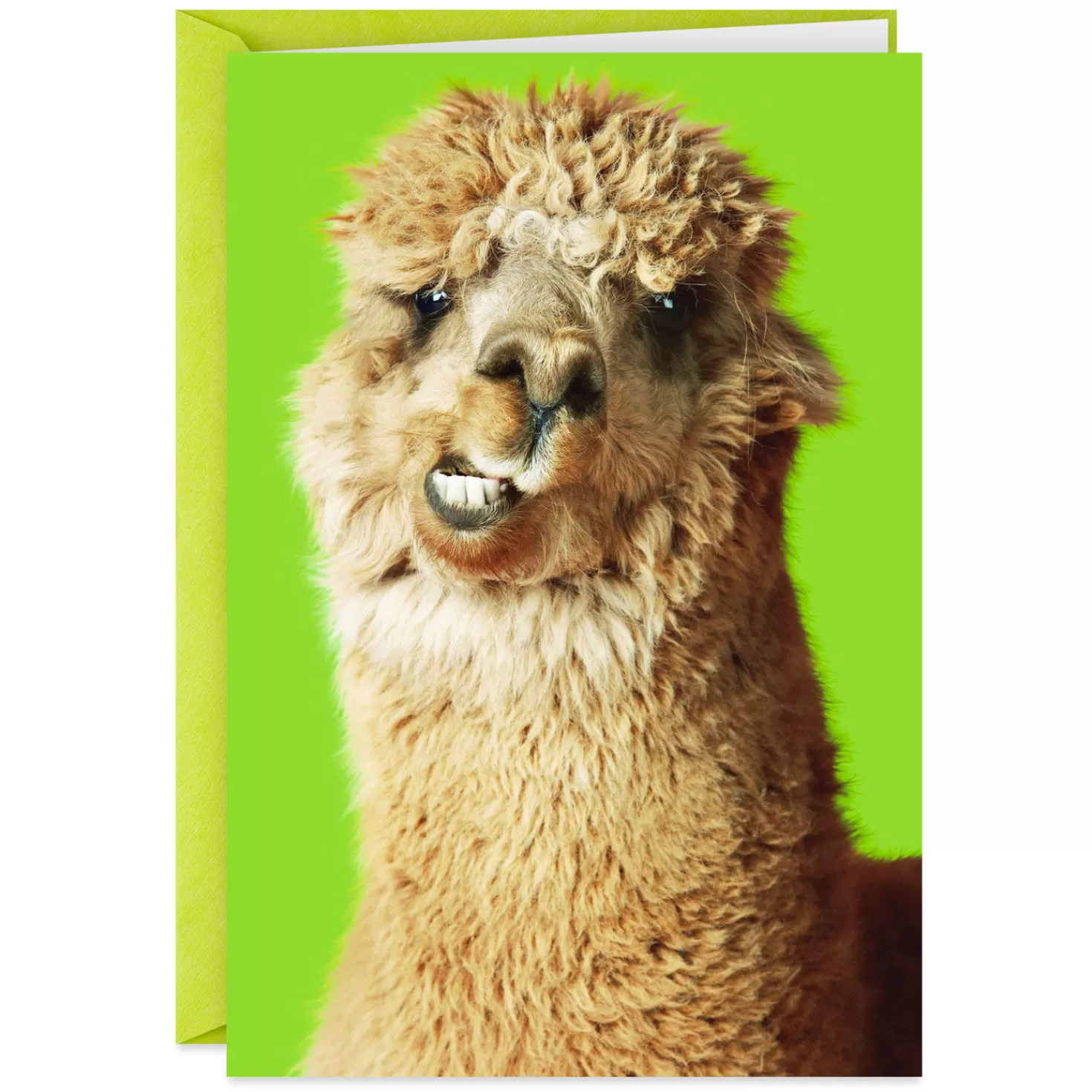 Best Nobody Gets Me Like You Funny Friendship Card Encouragement