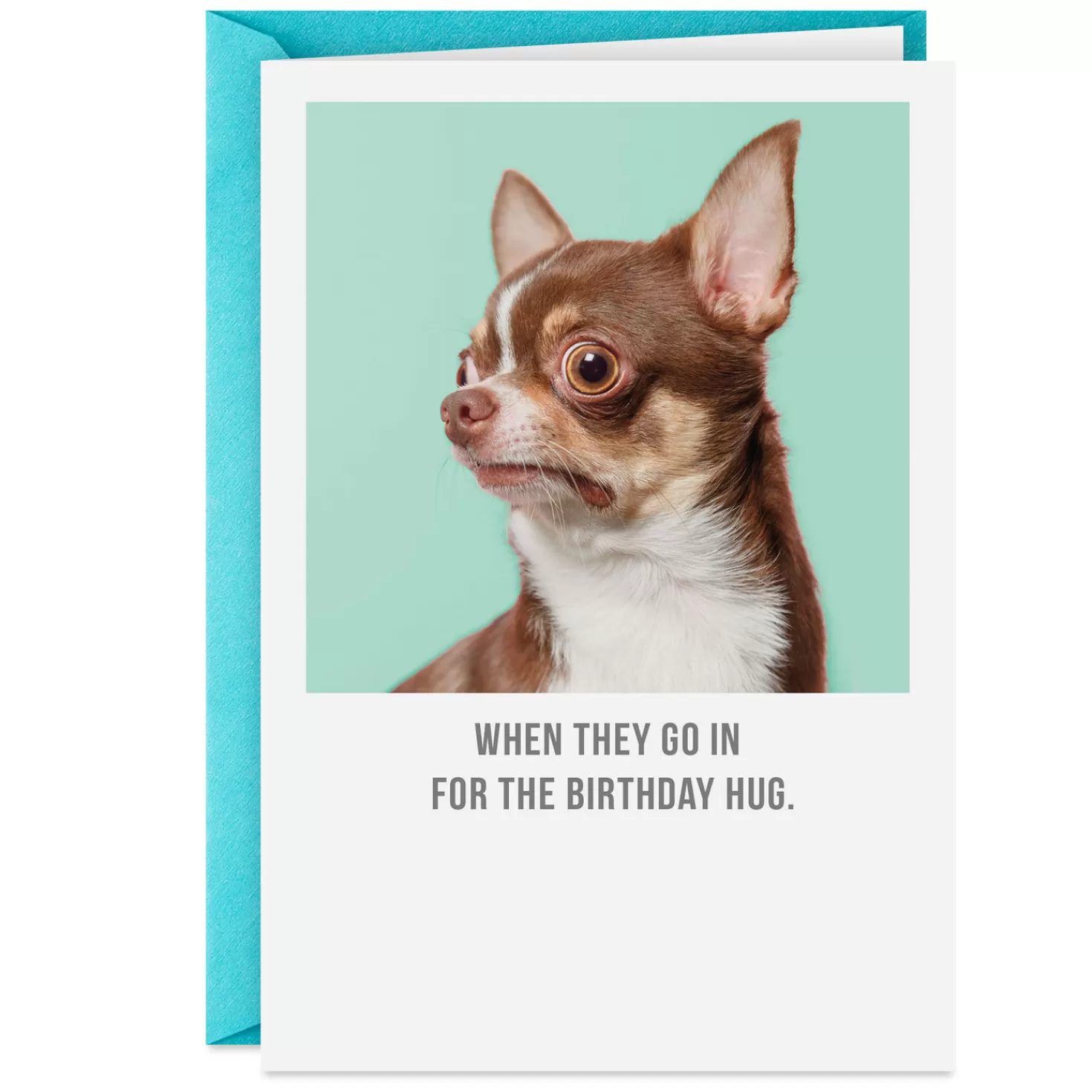 Birthday>Hallmark Only Good Surprises Funny Birthday Card
