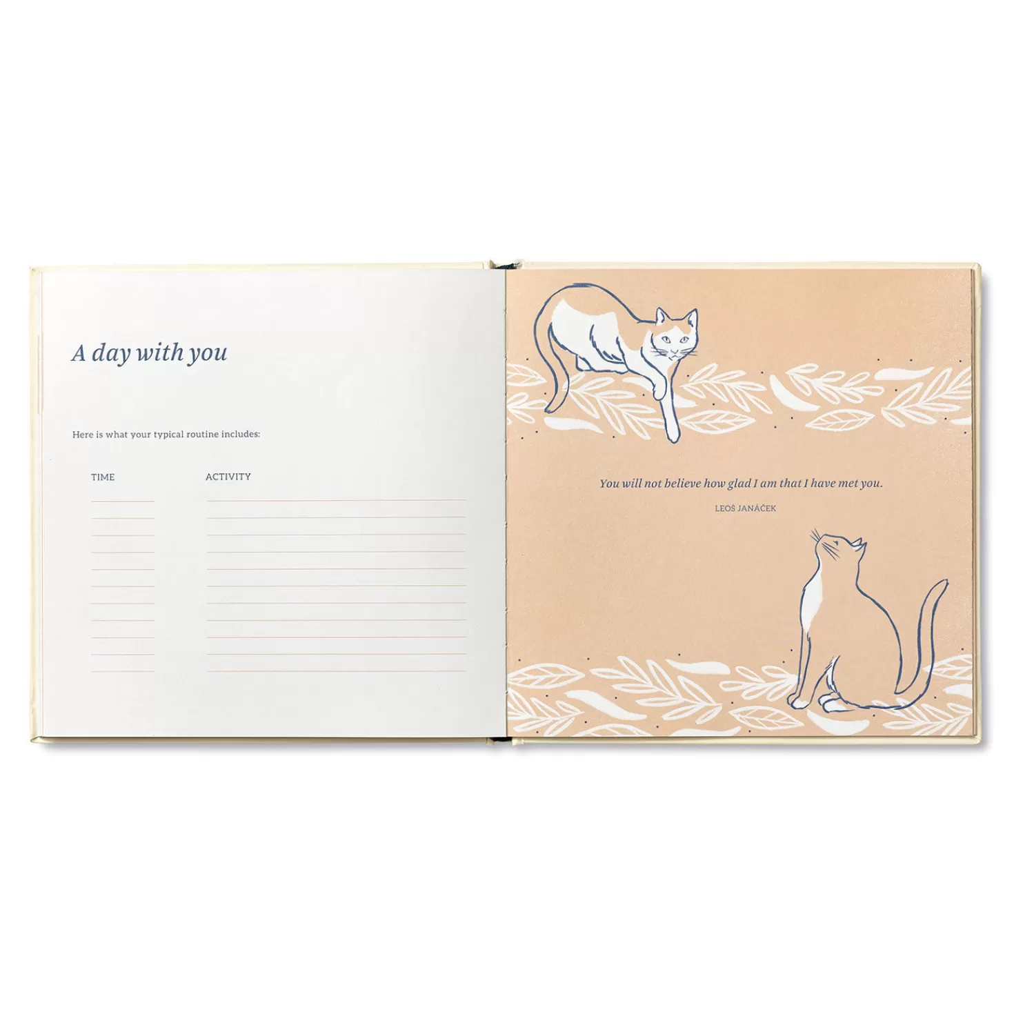 Flash Sale Our First Year Together: A Memory Keeper For Your New Cat Book Congratulations