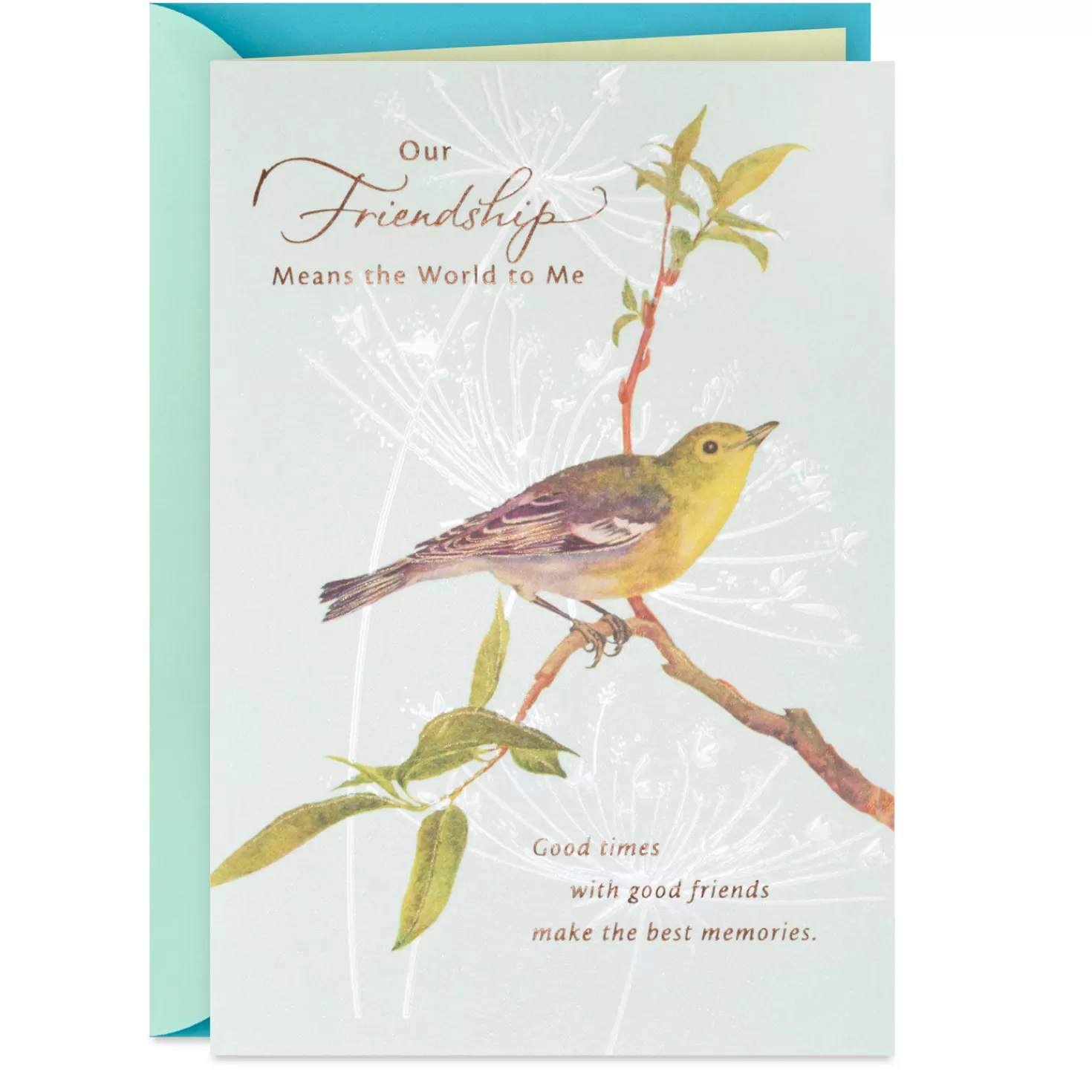 Birthday>Hallmark Our Friendship Means The World To Me Birthday Card