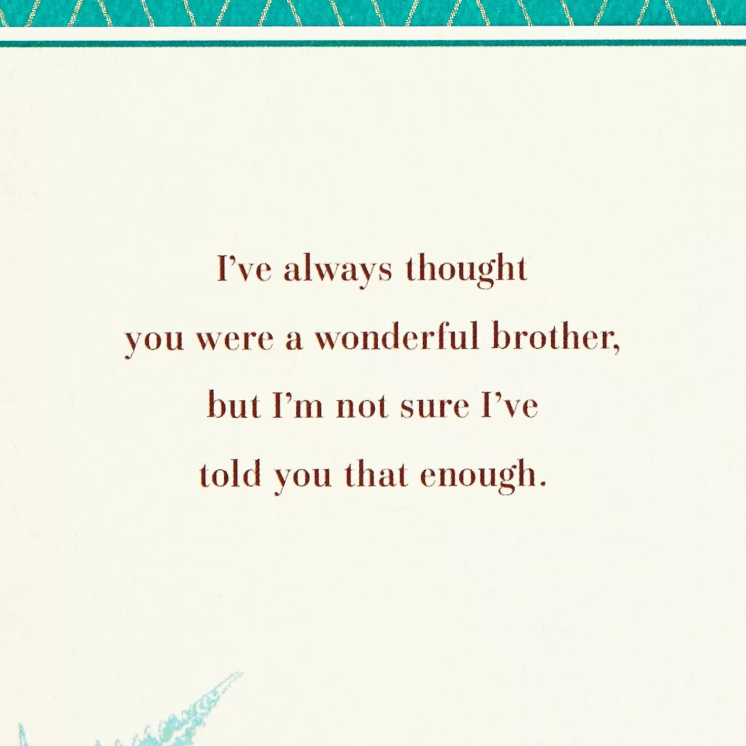 Birthday>Hallmark Palm Leaves Birthday Card For Brother