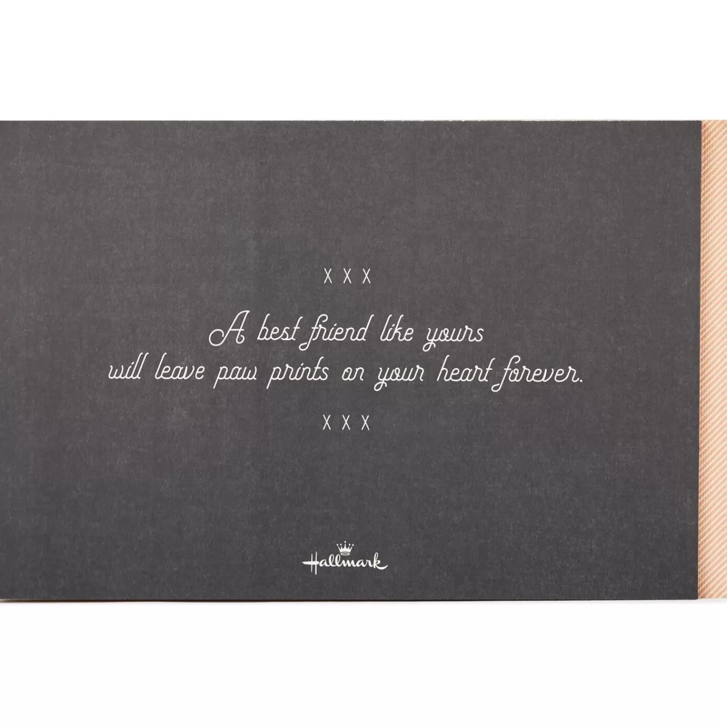 Clearance Paw Prints On Your Heart: Saying Good-Bye To Your Best Friend Sympathy