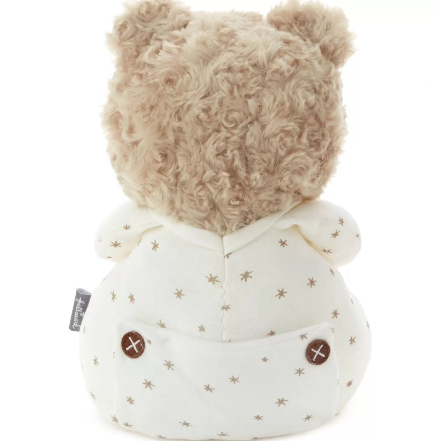 Best Prayer Bear Recordable Stuffed Animal, 10.5" First Communion
