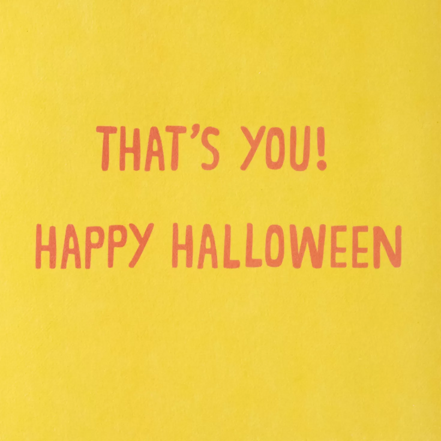 Halloween (10/31)>Hallmark Puffy Fluffy Black Cat Halloween Card For Kids