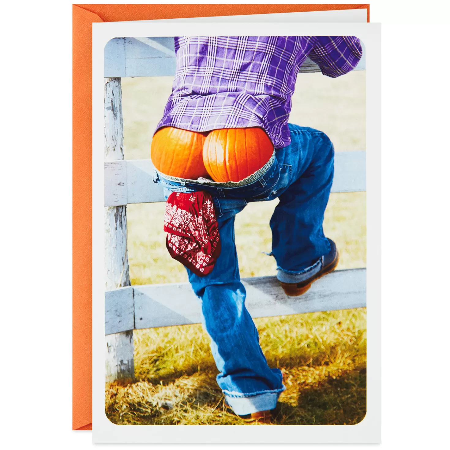 Halloween (10/31)>Hallmark Pumpkin Butt Funny Halloween Card