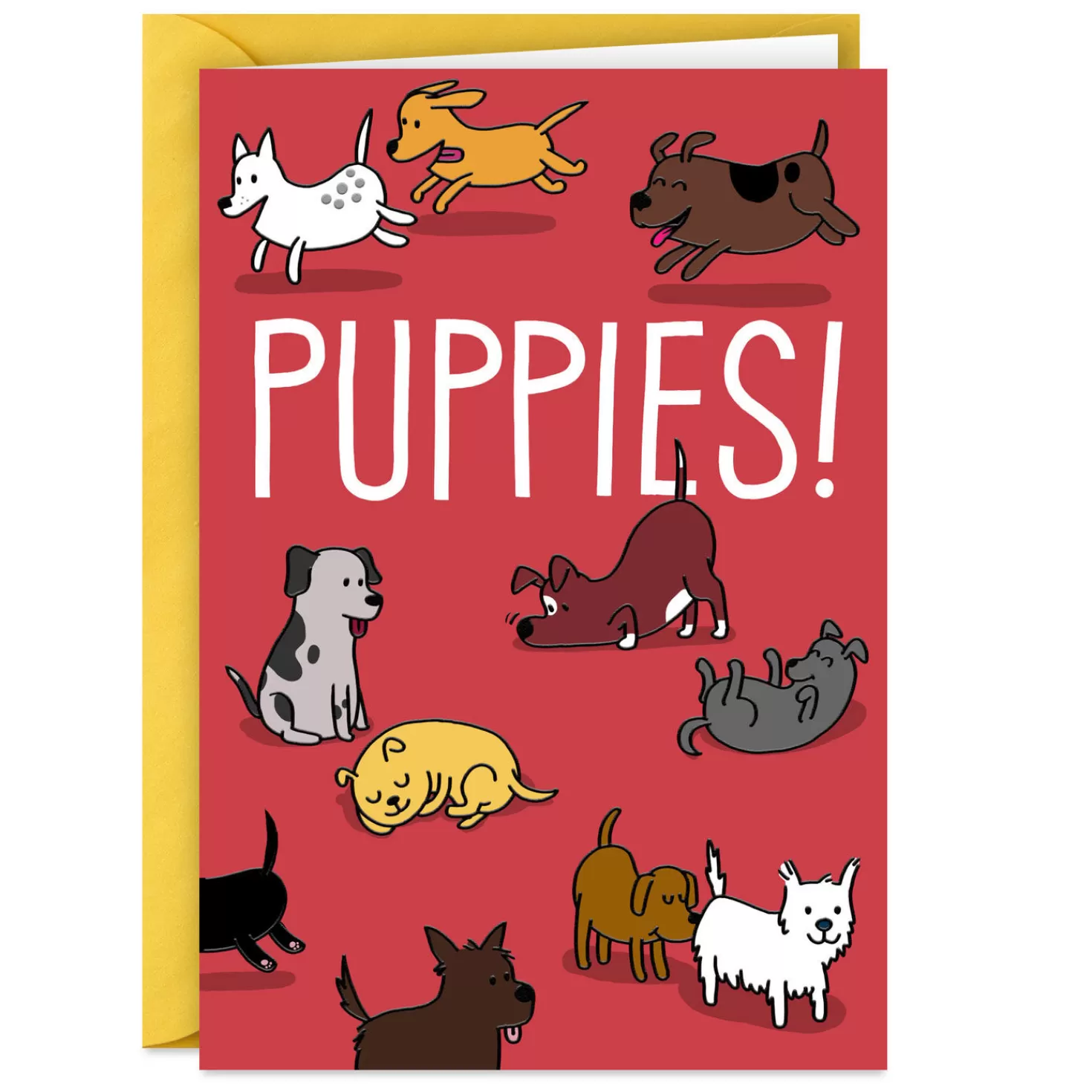 Birthday>Hallmark Puppies! Funny Card