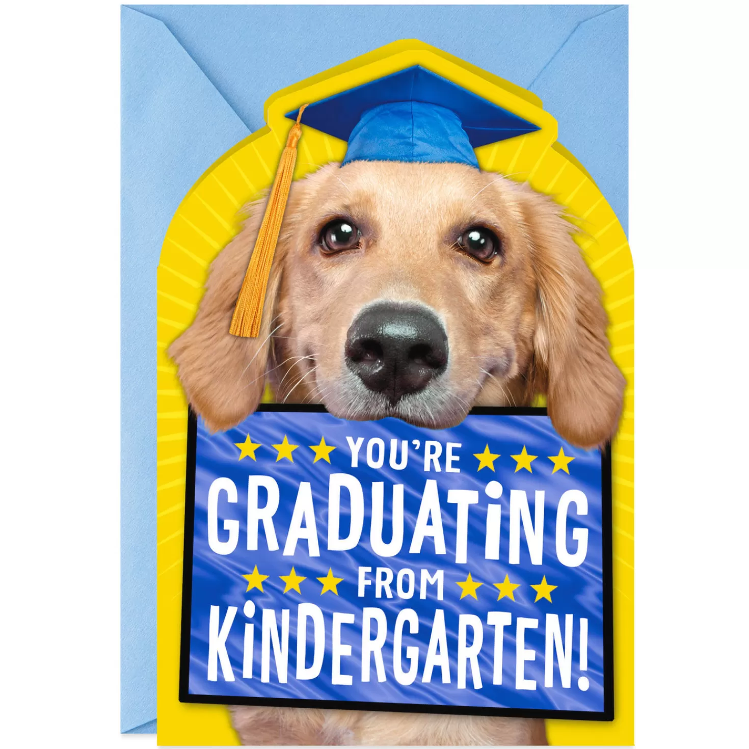 Clearance Puppy Dog In Cap Kindergarten Graduation Card Graduation