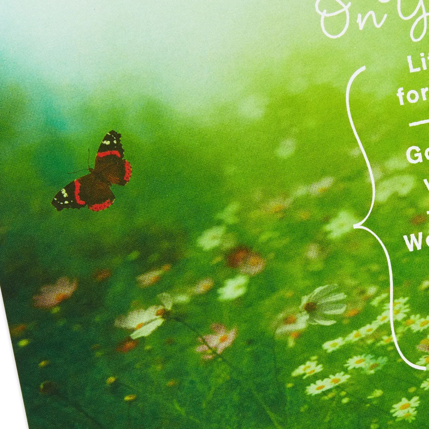 Birthday>Hallmark Roy Lessin Inspiration Boxed Religious Encouragement Cards Assortment, Pack Of 12
