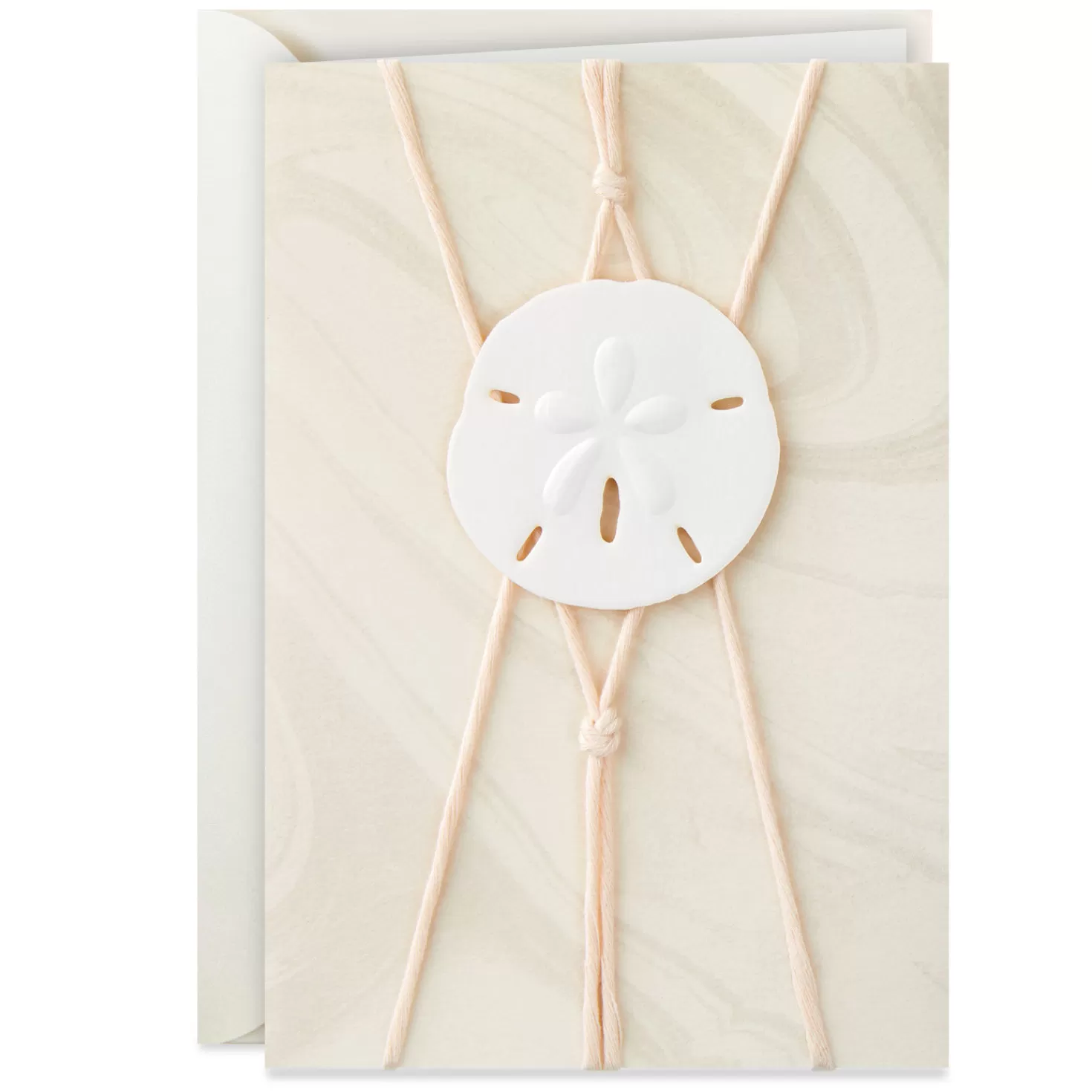 Store Sand Dollar Blank Card Encouragement