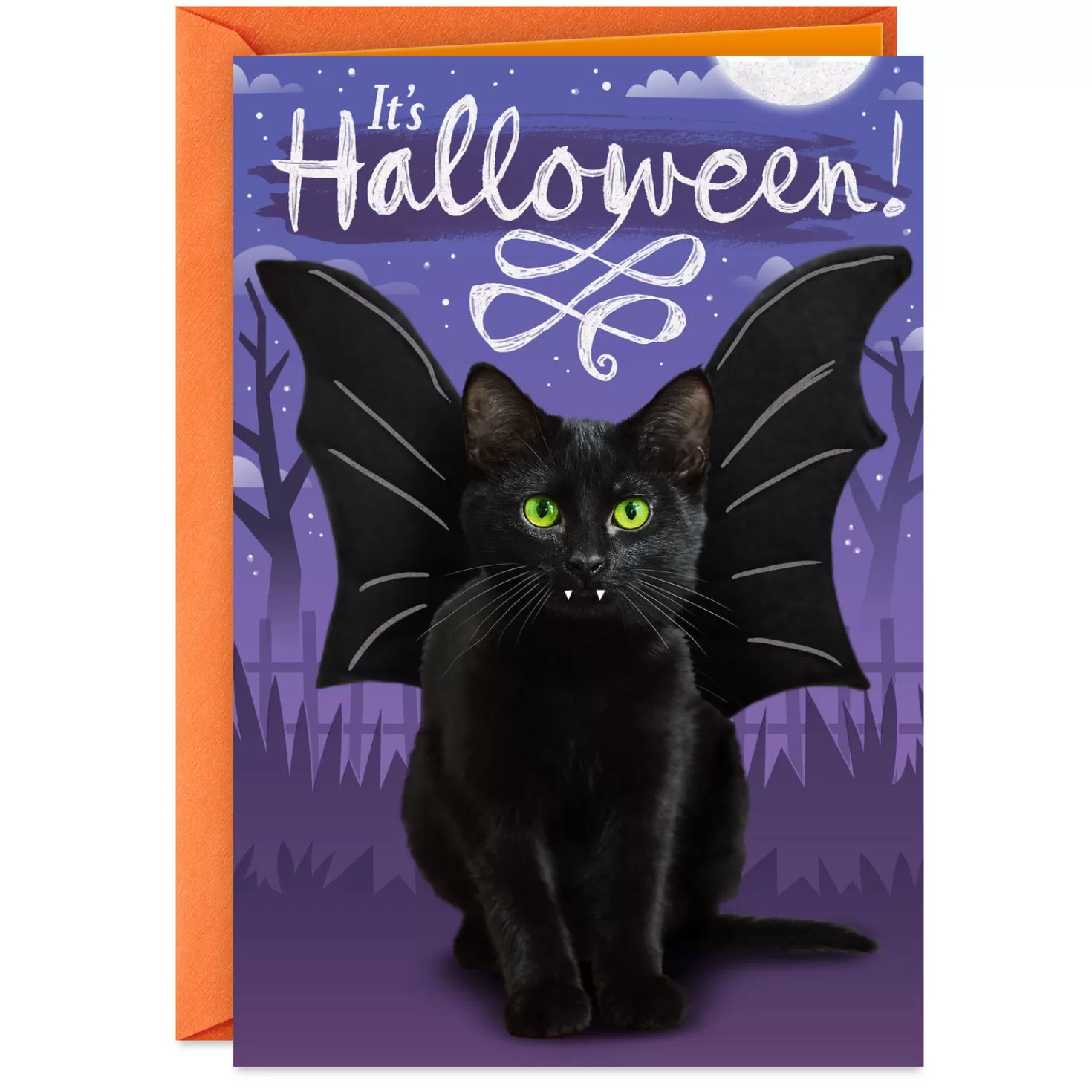 Halloween (10/31)>Hallmark Scare Up Some Fun Black Cat Bat Halloween Card