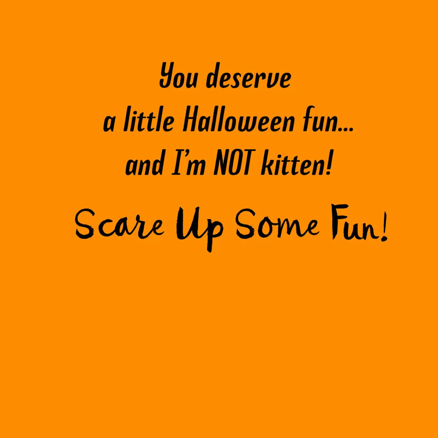 Halloween (10/31)>Hallmark Scare Up Some Fun Black Cat Bat Halloween Card