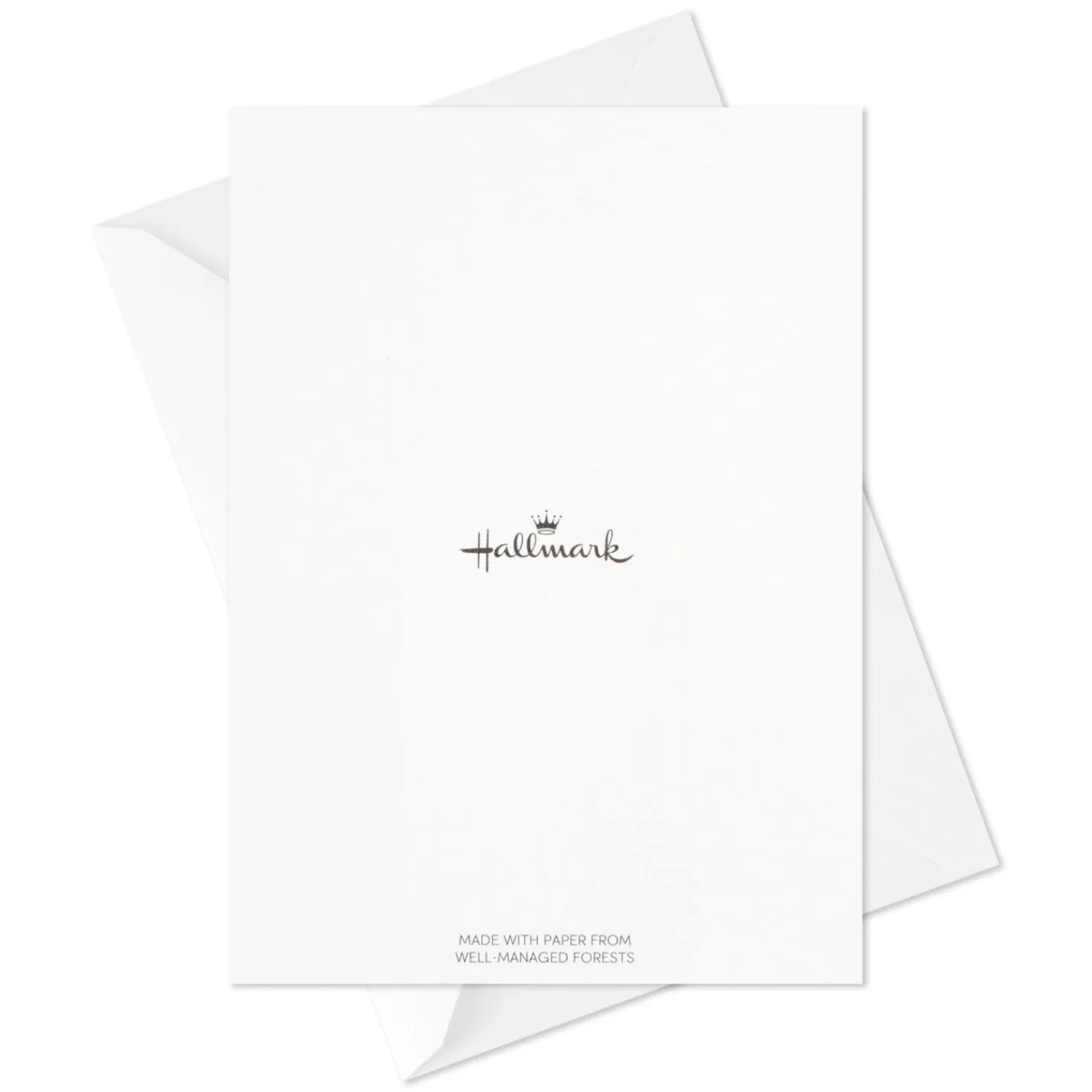Shop Serene Flowers Assorted Sympathy Cards, Pack Of 12 Sympathy