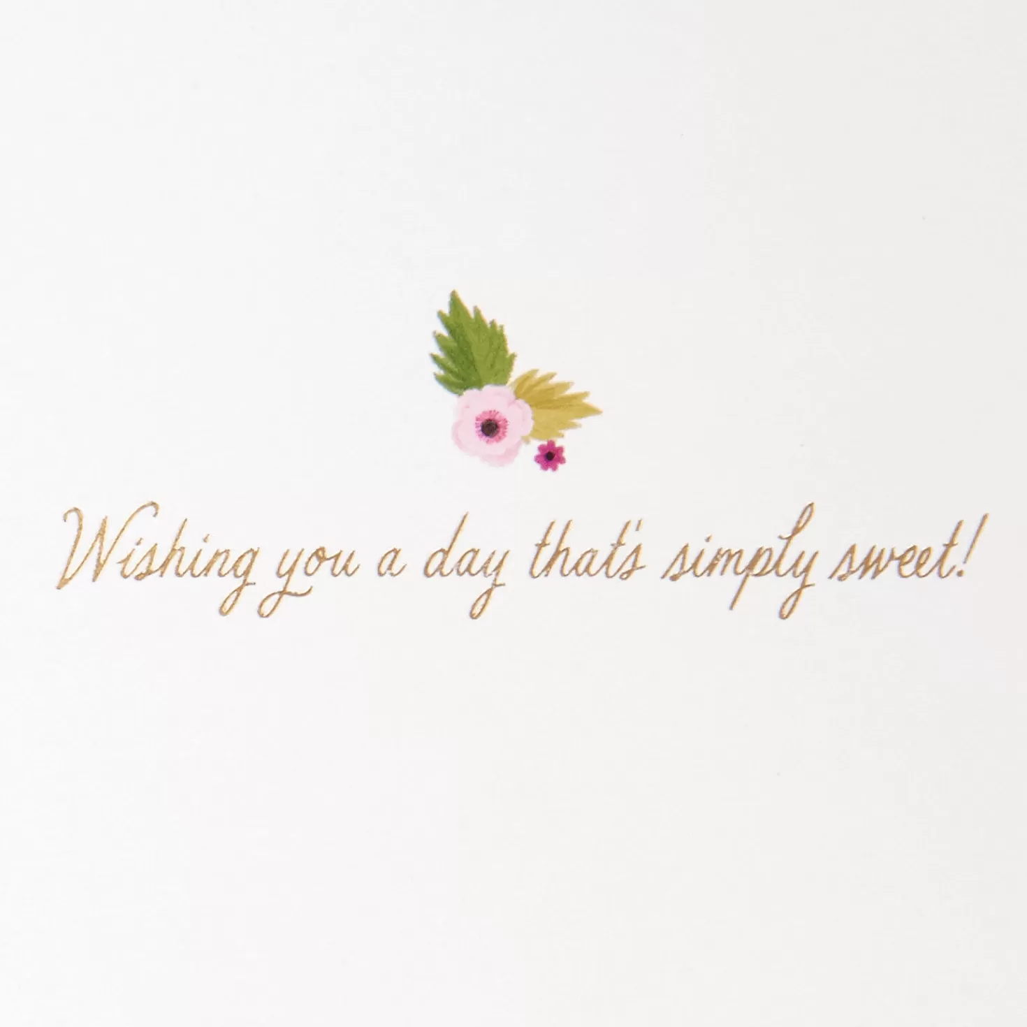 Birthday>Hallmark Simply Sweet Bakery Window Birthday Card