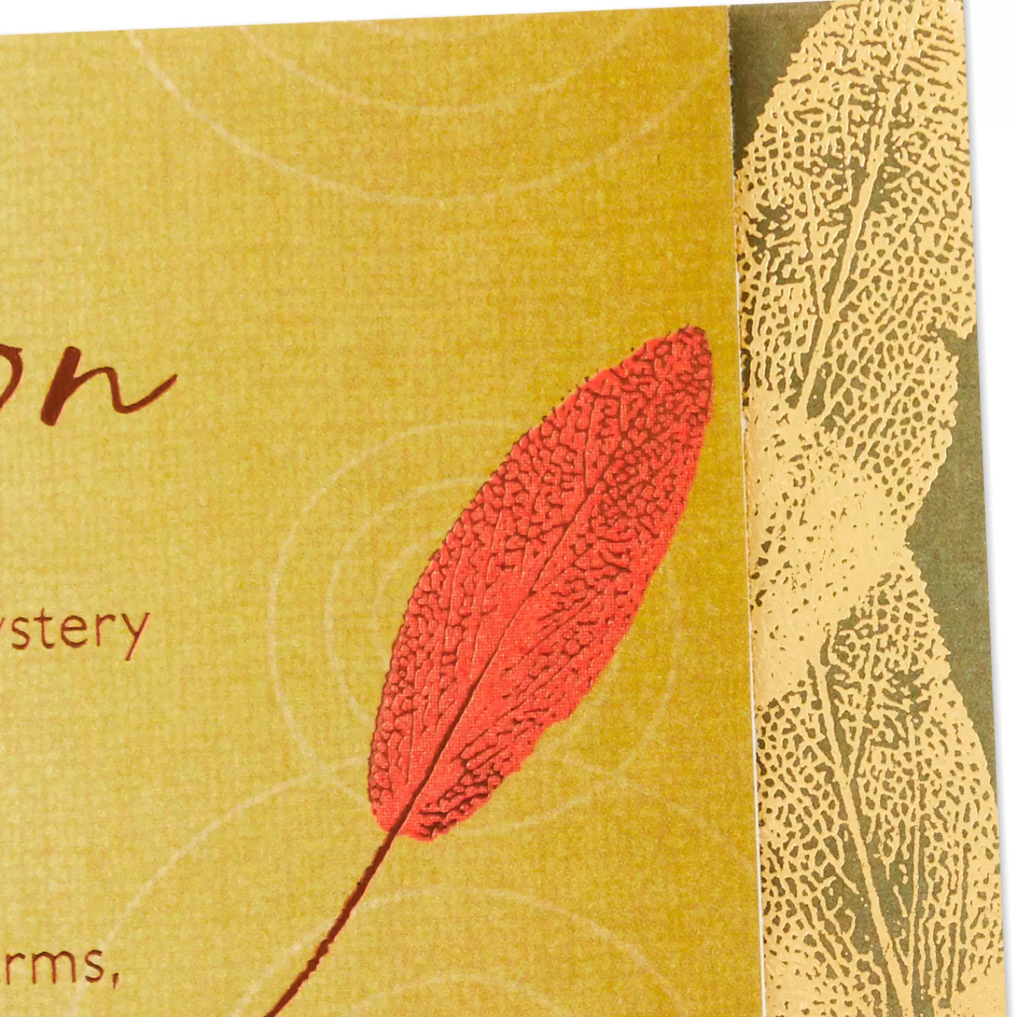 Birthday>Hallmark So Proud To Have You For A Son Birthday Card