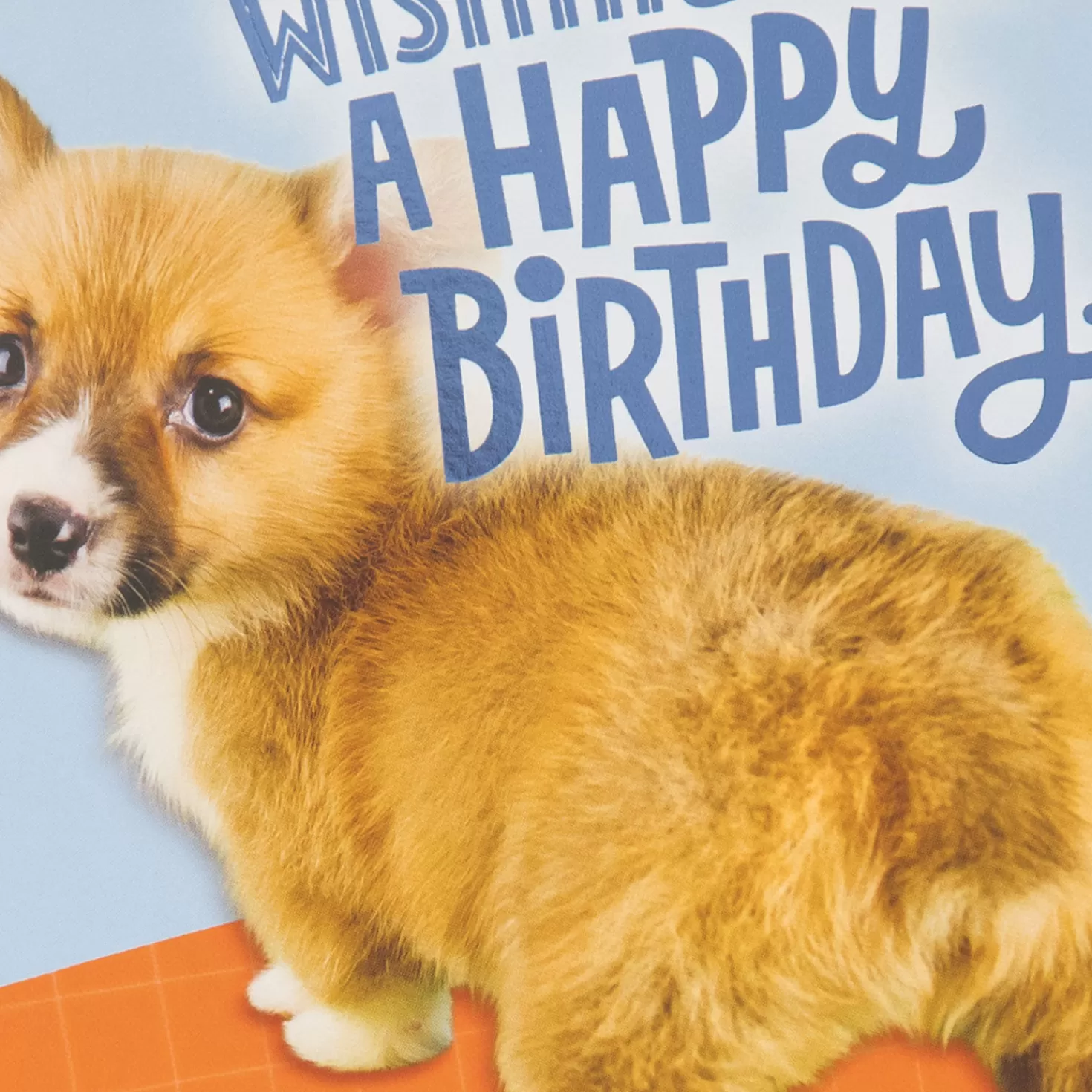 Birthday>Hallmark Sorry I'M A Little Behind Funny Belated Birthday Card