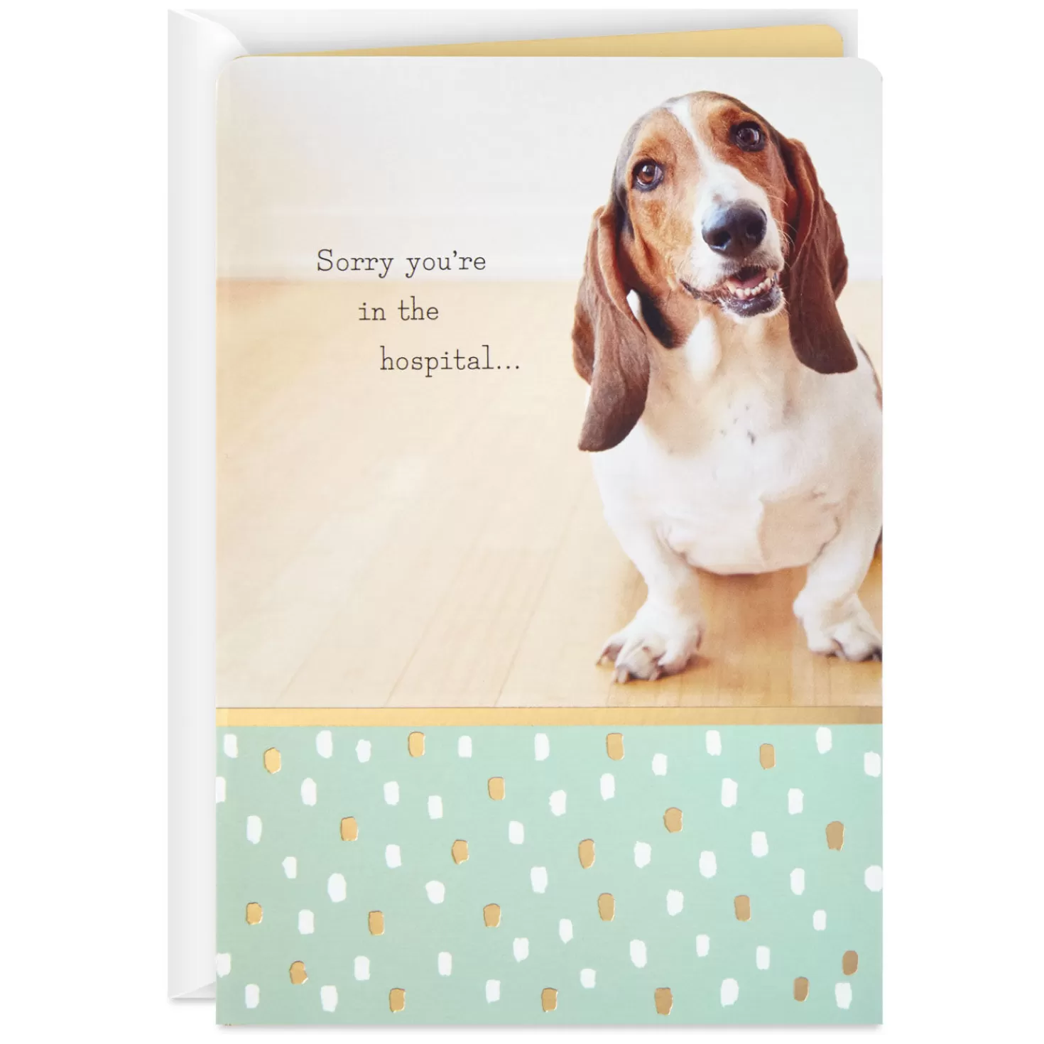Hot Sorry You'Re In The Hospital Get Well Card Get Well