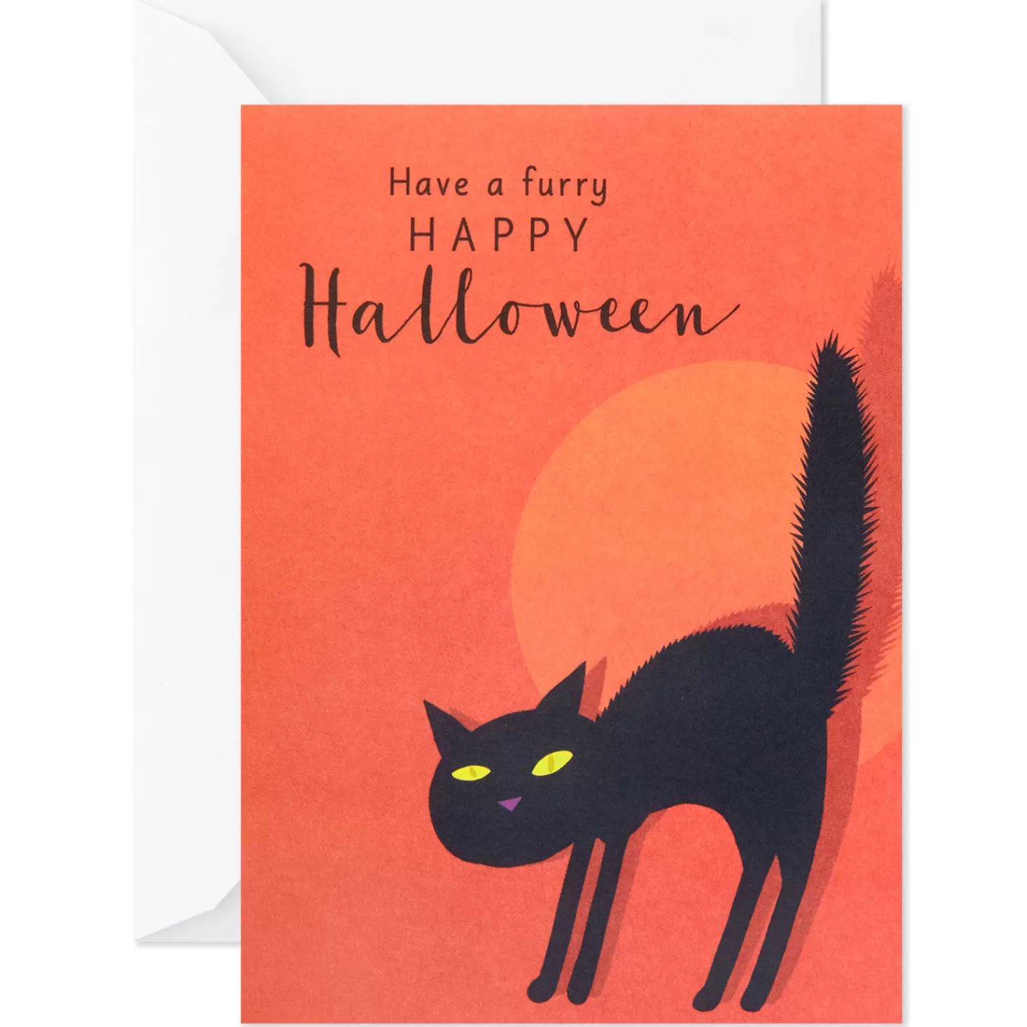 Halloween (10/31)>Hallmark Spooky Fun Assorted Halloween Blank Note Cards, Pack Of 36