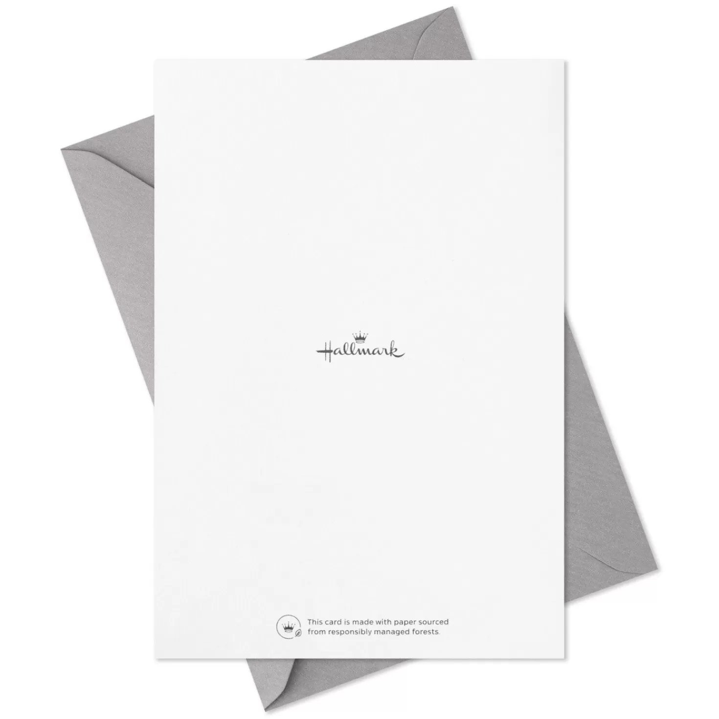 Shop Stately Styles Graduation Cards Assortment, Pack Of 16 Graduation