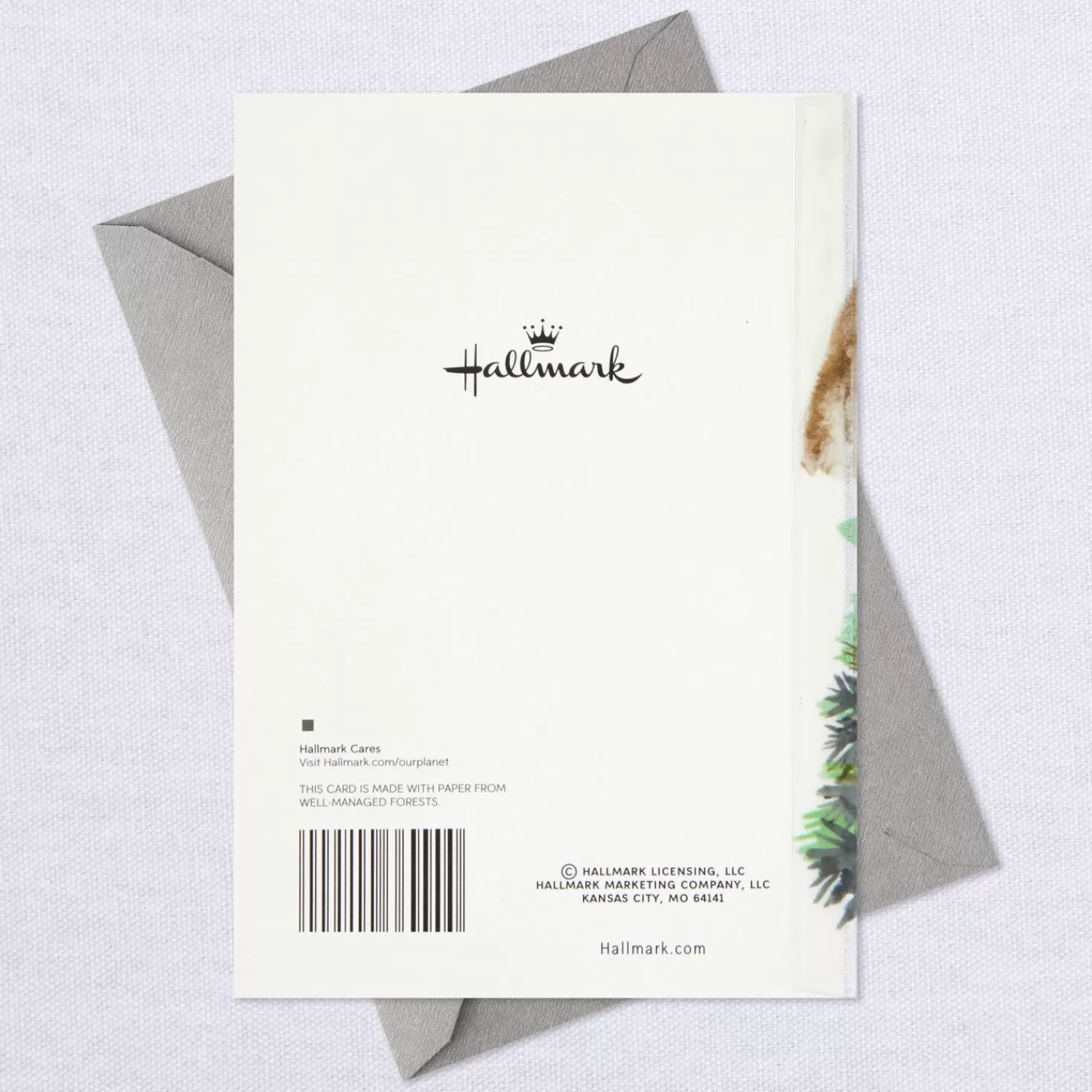 Birthday>Hallmark Strong, Steady Presence In Our Family Birthday Card For Him