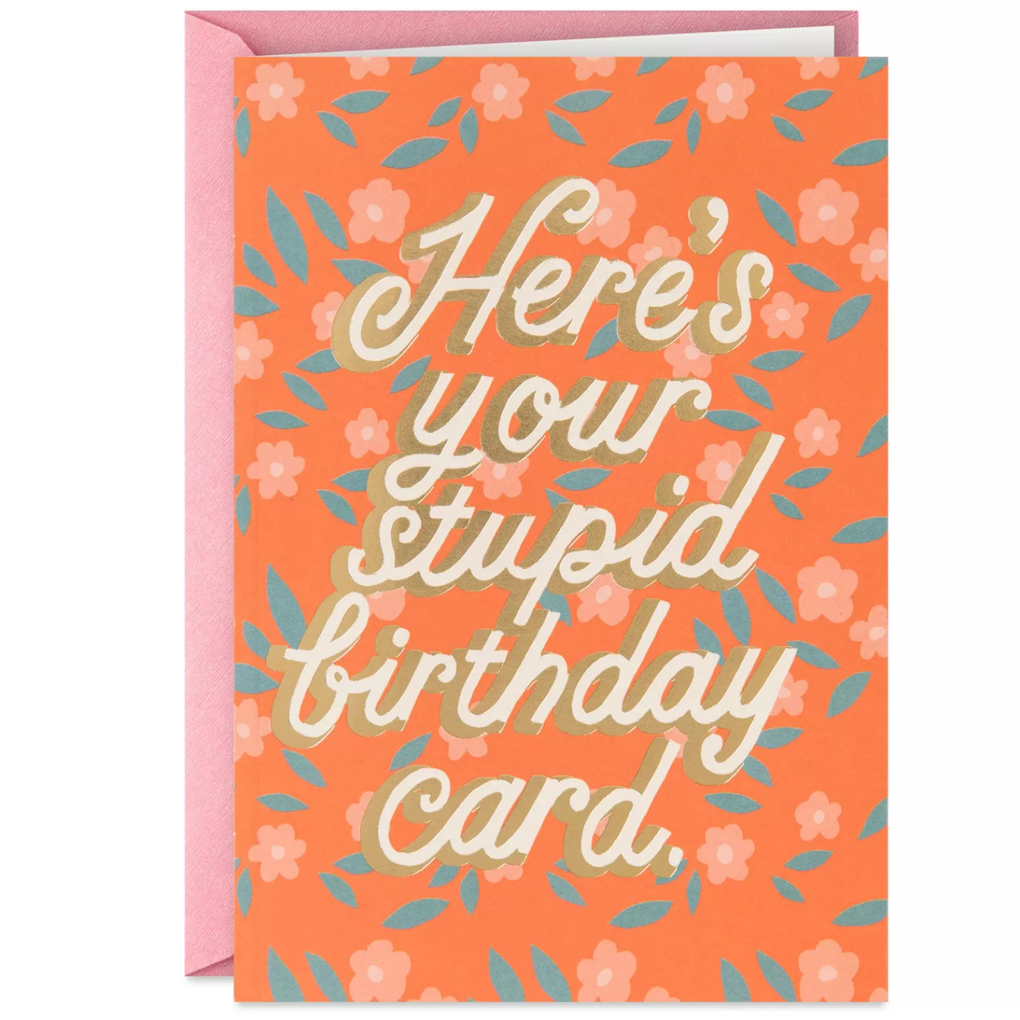 Birthday>Hallmark Stupid Funny Birthday Card