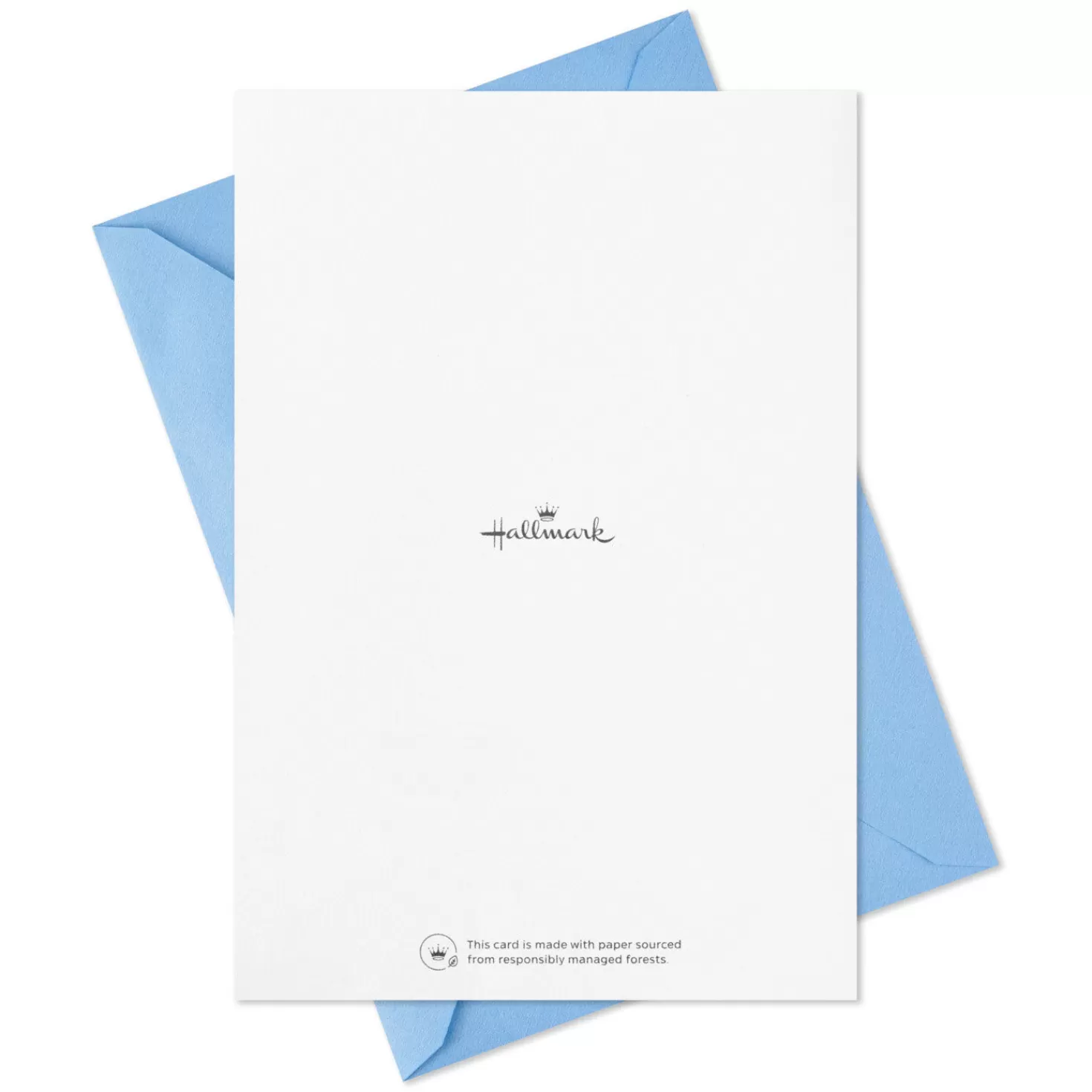 Store Sunlit Celebrations Graduation Cards Assortment, Pack Of 16 Graduation
