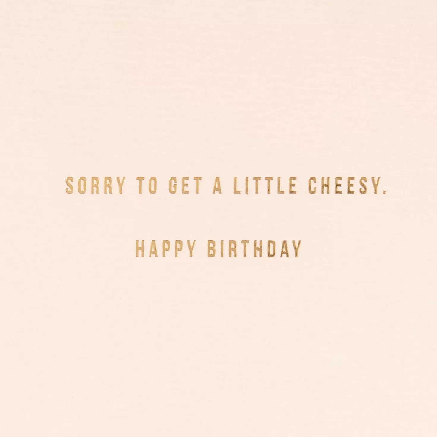 Birthday>Hallmark Taco Twosome Birthday Card