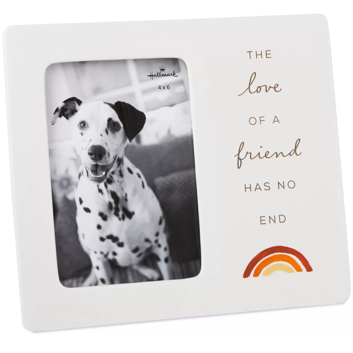Best The Love Of A Friend Pet Memory Picture Frame, 4X6 Sympathy