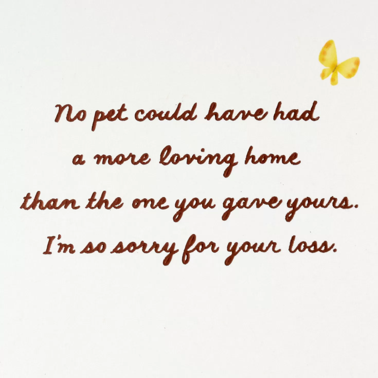 New They Know When They'Re Loved Sympathy Card For Loss Of Dog Sympathy