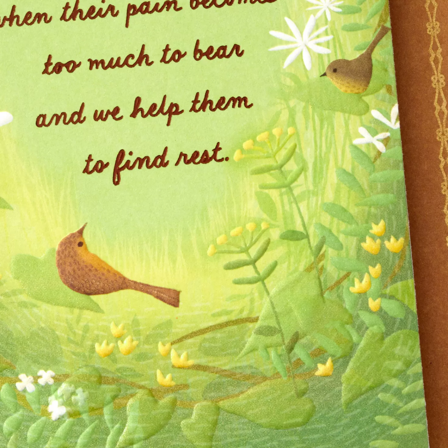 New They Know When They'Re Loved Sympathy Card For Loss Of Dog Sympathy
