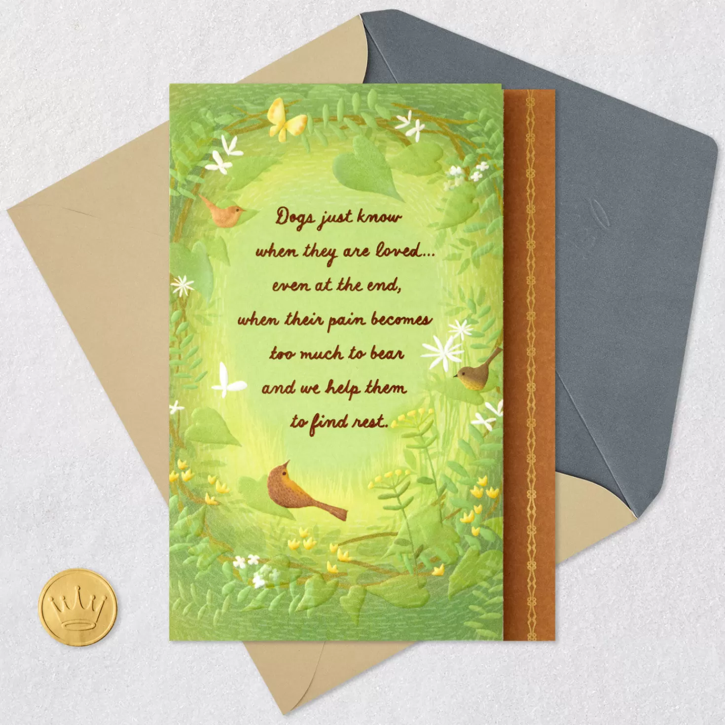 New They Know When They'Re Loved Sympathy Card For Loss Of Dog Sympathy