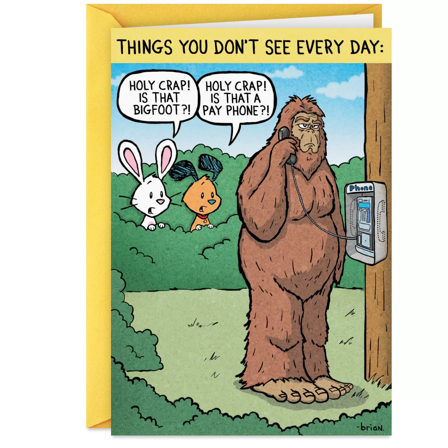 Birthday>Hallmark Things You Don'T See Every Day Funny Birthday Card