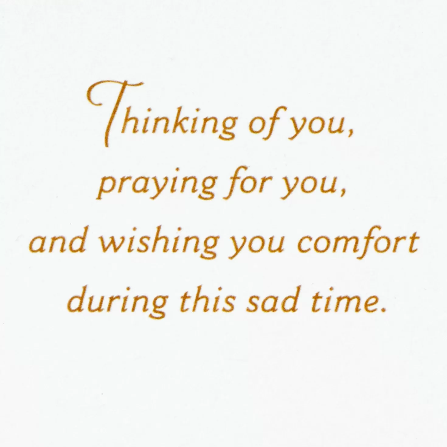 Shop Thinking Of You And Wishing You Comfort Sympathy Card Sympathy