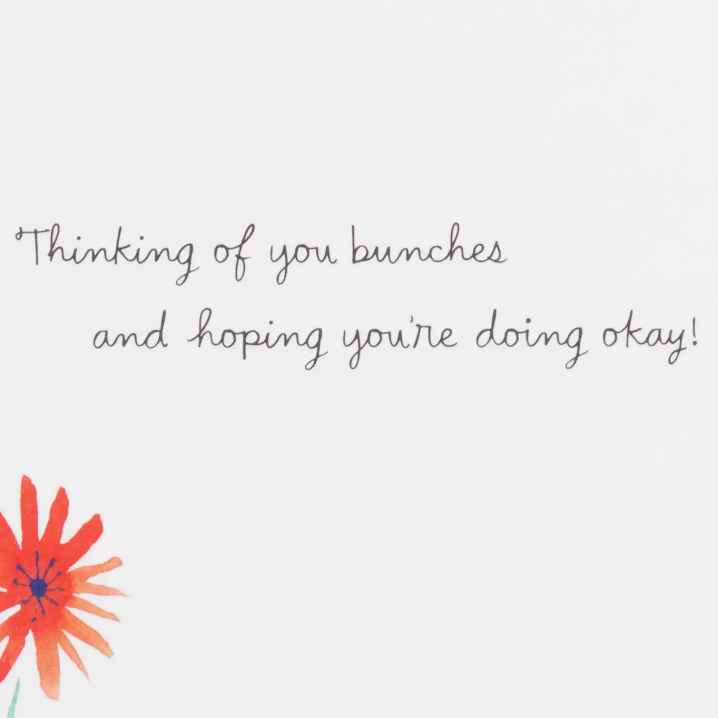 Cheap Thinking Of You Bunches Get Well Card Get Well
