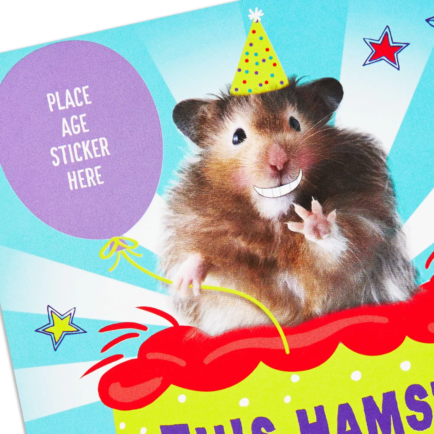 Birthday>Hallmark Tooting Hamster Customizable Kids Funny Birthday Card With Age Stickers