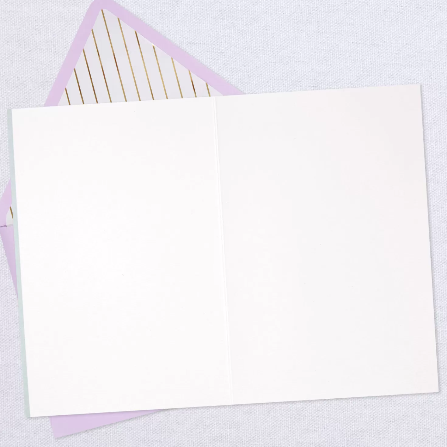 Outlet Tropical Plants In Envelope Blank Card Encouragement