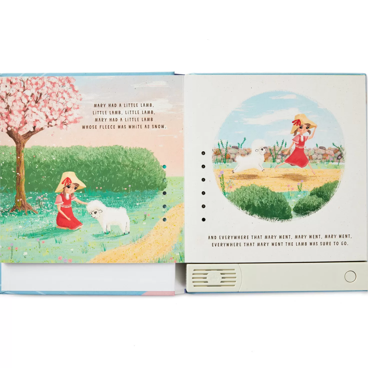 Cheap Twinkle, Twinkle, Little Star And Other Favorite Nursery Rhymes Recordable Storybook Baby