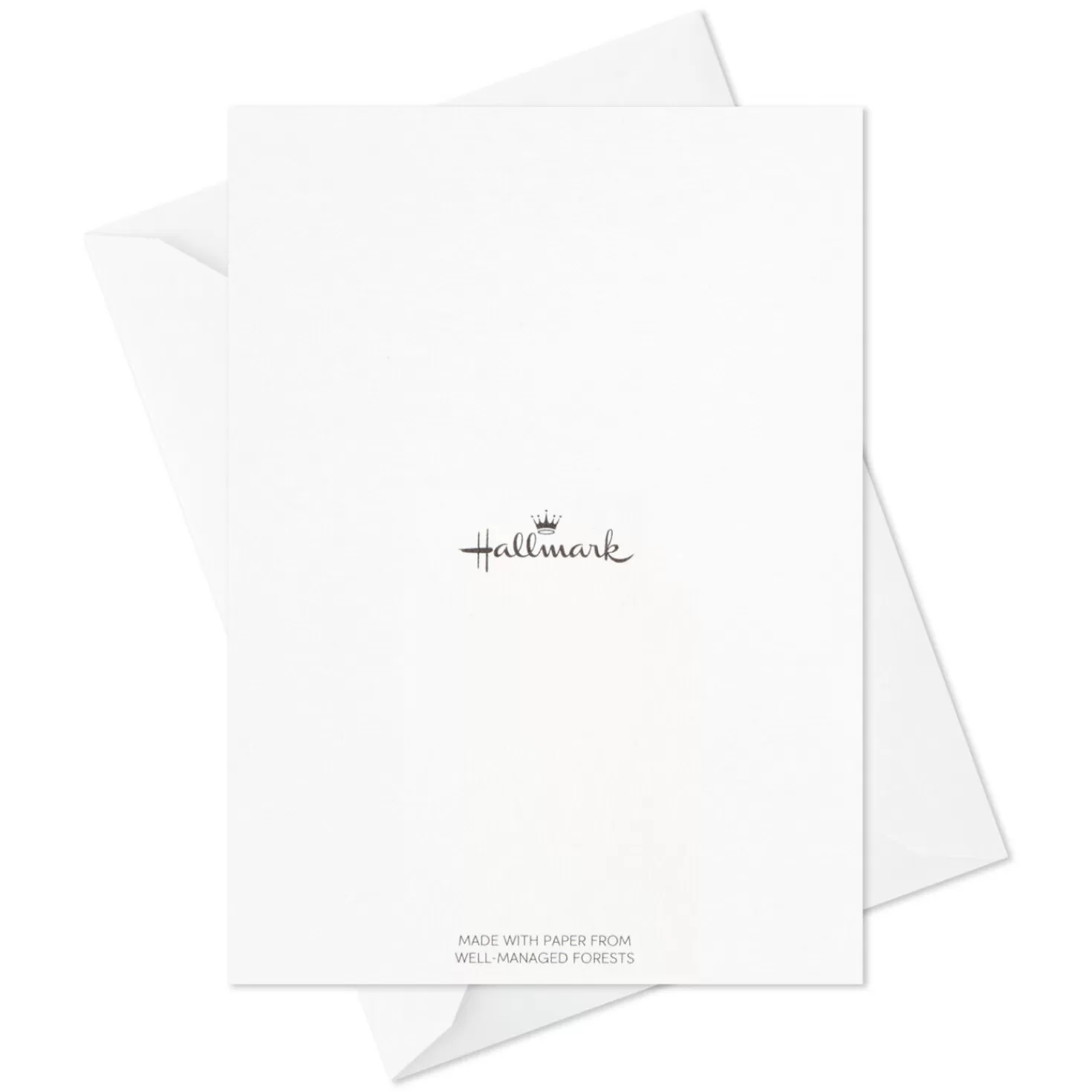 New Watercolor Assorted Blank Thank-You Notes, Pack Of 48 Thank You