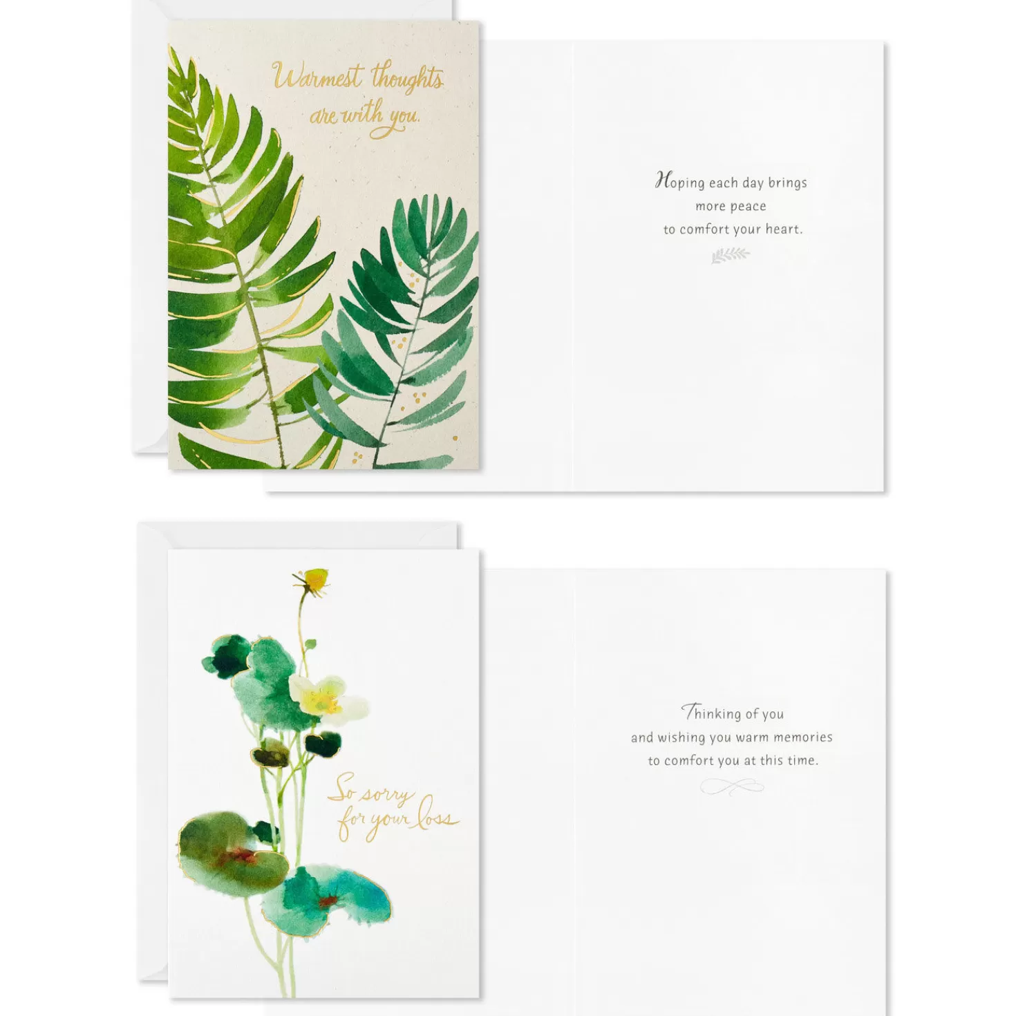 Best Sale Watercolor Botanicals Boxed Sympathy Cards Assortment, Pack Of 12 Sympathy