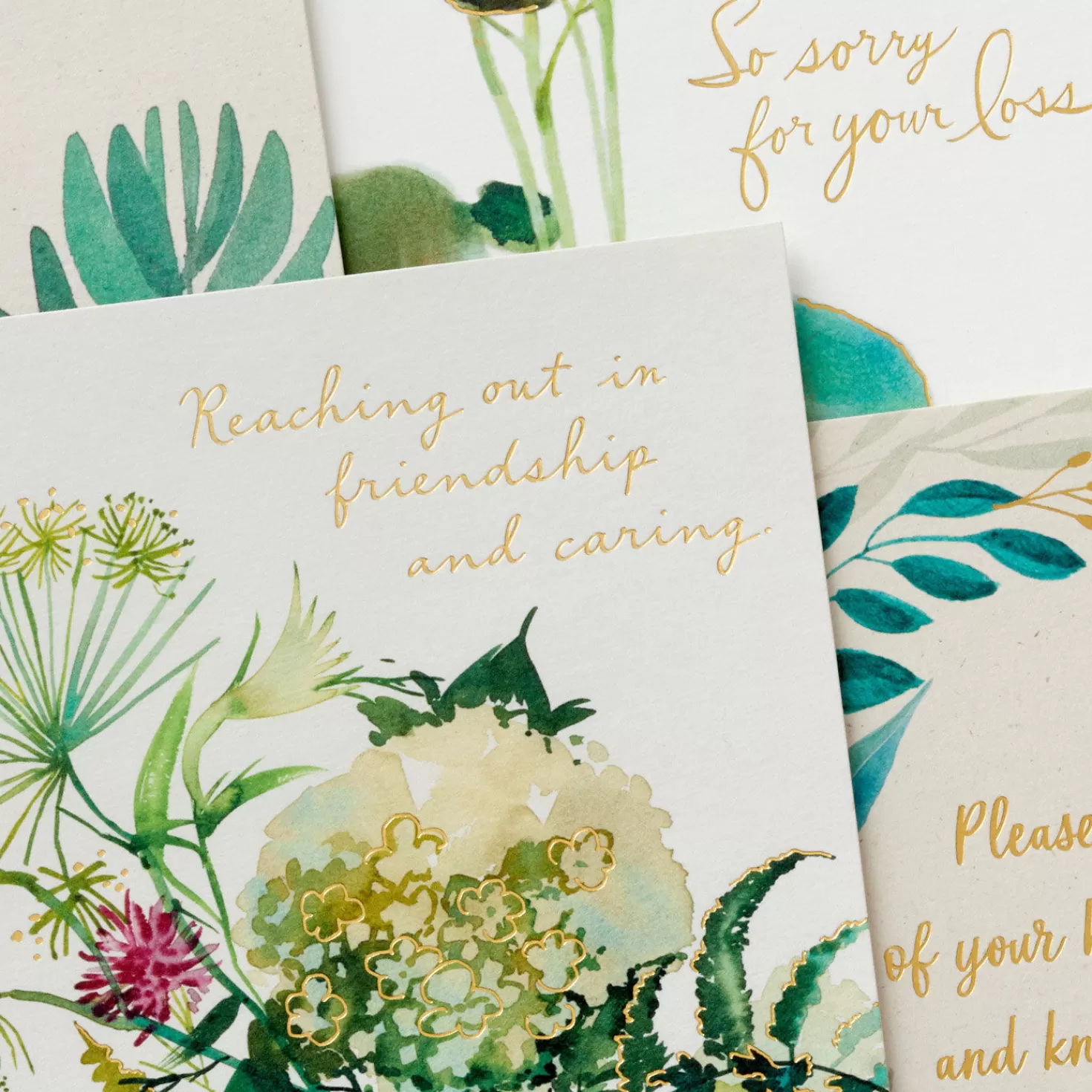Best Sale Watercolor Botanicals Boxed Sympathy Cards Assortment, Pack Of 12 Sympathy