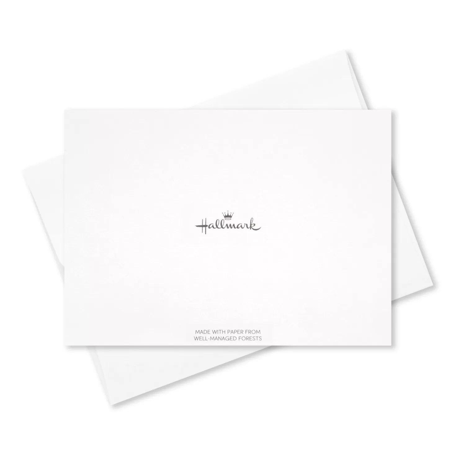 Clearance Watercolor Floral Assorted Sympathy Thank-You Notes, Box Of 50 Sympathy