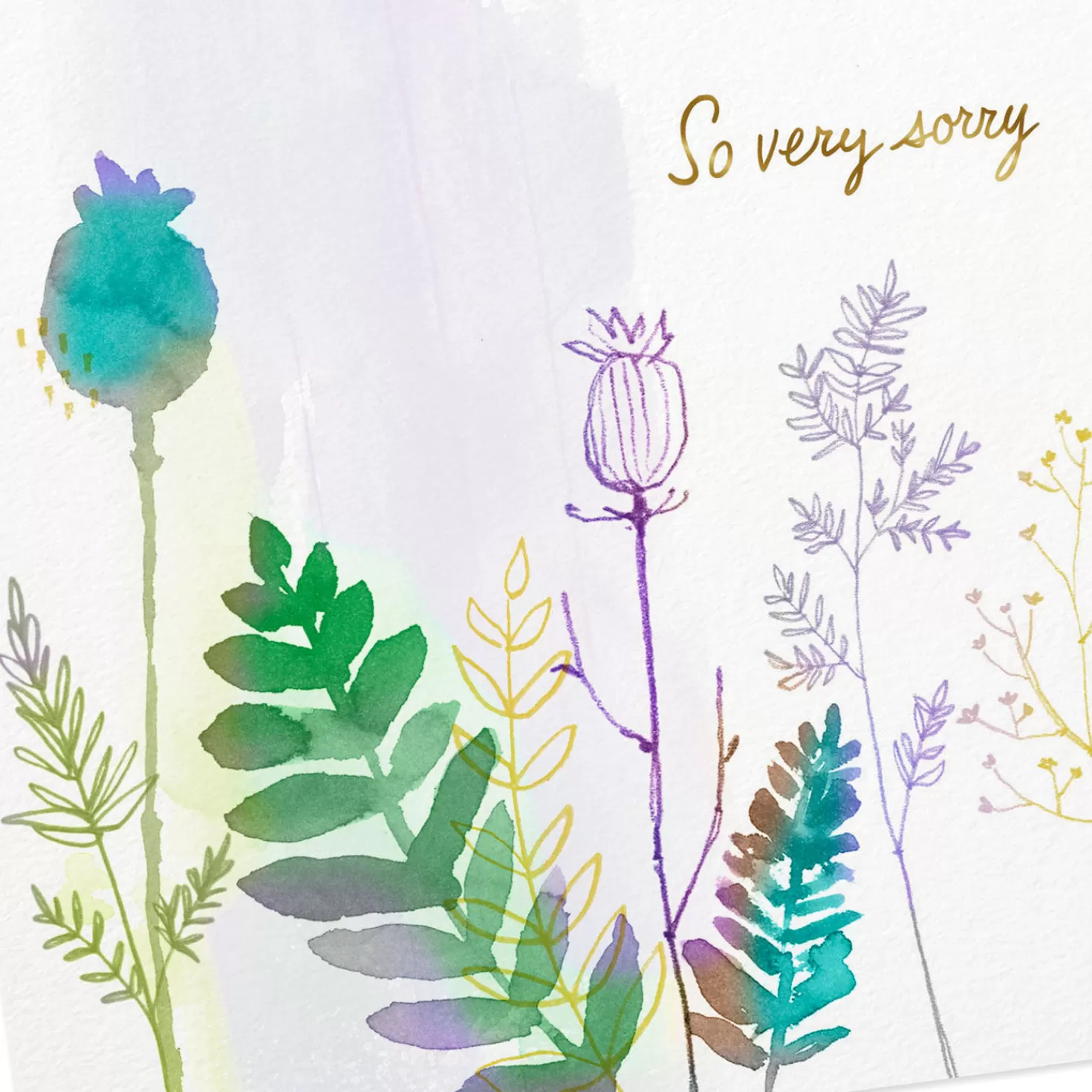 Shop Watercolor Thistles And Ferns Sympathy Card Sympathy