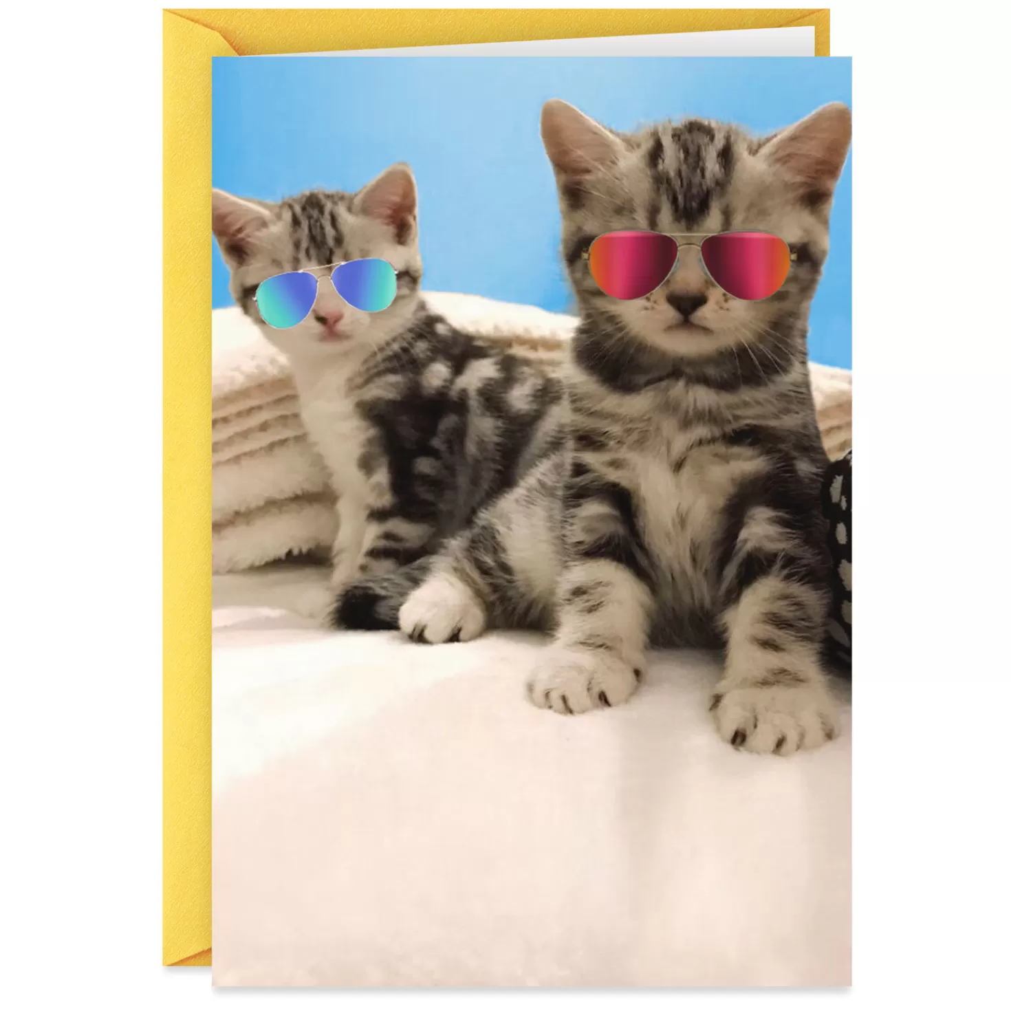 Fashion We'Re Awesome Funny Friendship Card Encouragement