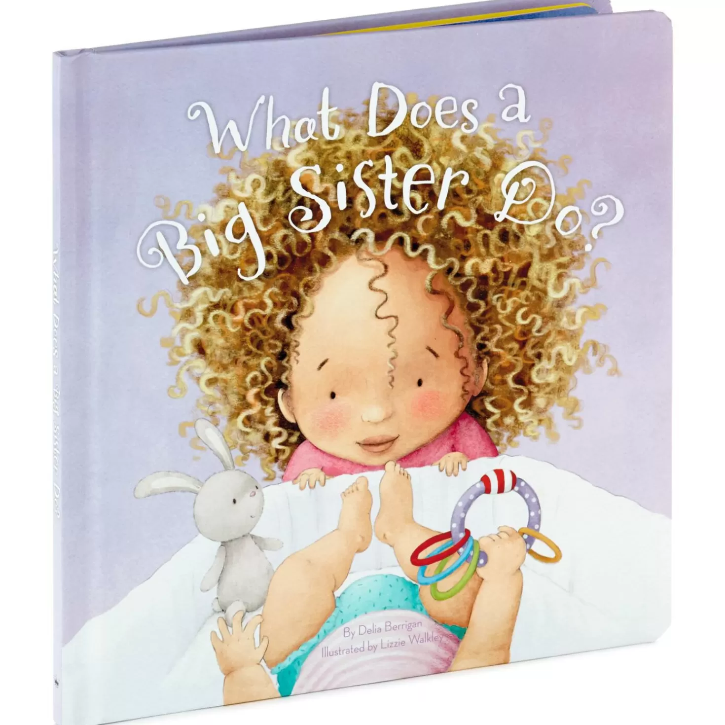 Best What Does A Big Sister Do? Book Baby