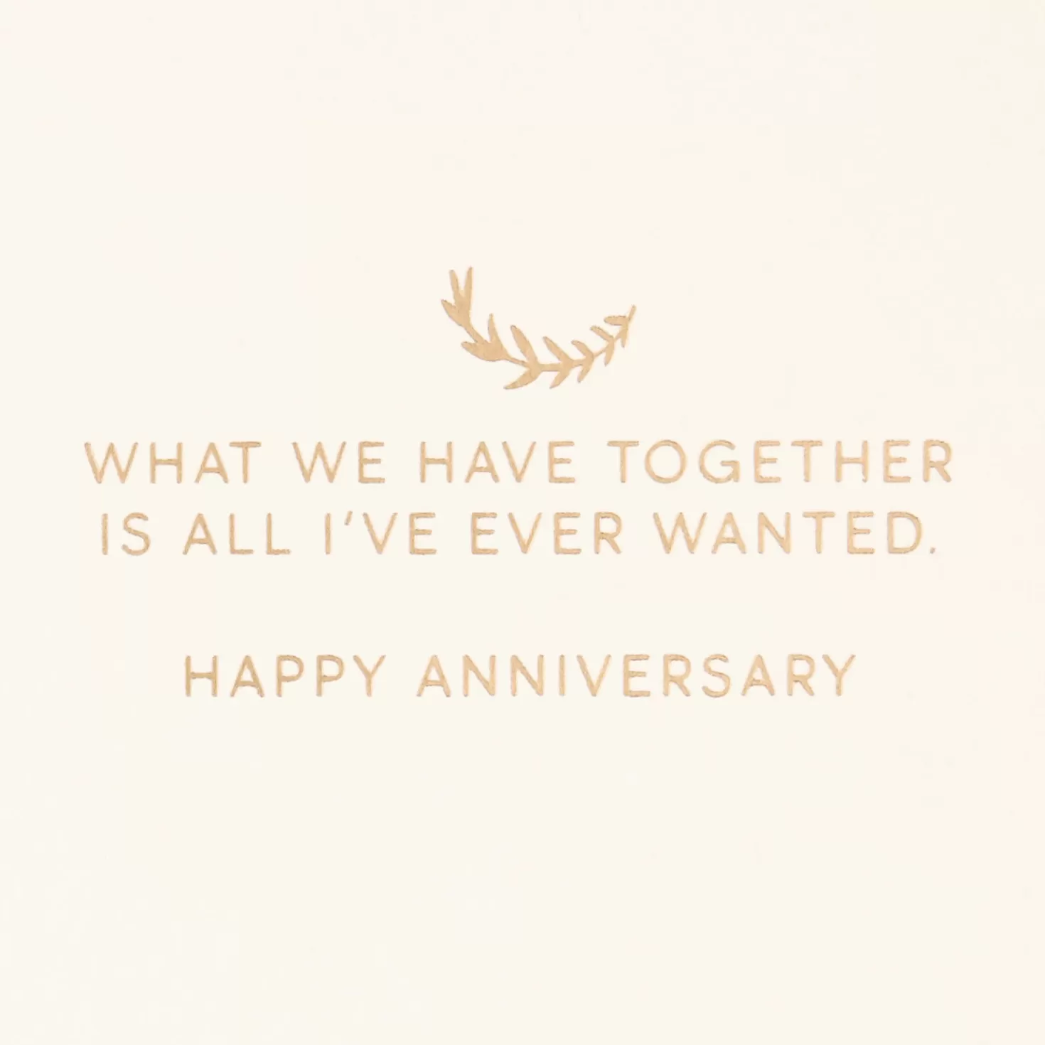 Anniversary>Hallmark What We Have Together Anniversary Card