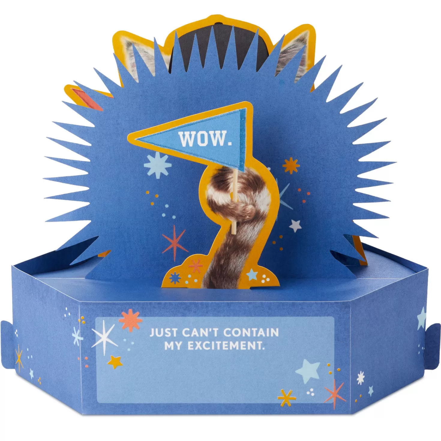 Fashion Whoo Hoo Scowling Cat Funny 3D Pop-Up Card Congratulations