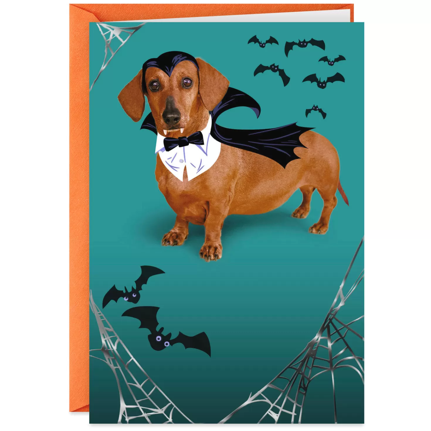Halloween (10/31)>Hallmark Wiener Dog In Vampire Costume Funny Halloween Card