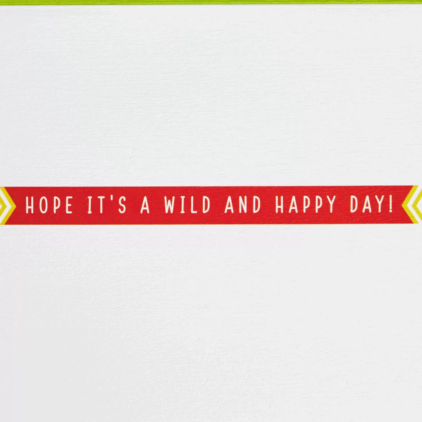 Birthday>Hallmark Wild And Happy Birthday Card With Finger Puppets For Kids
