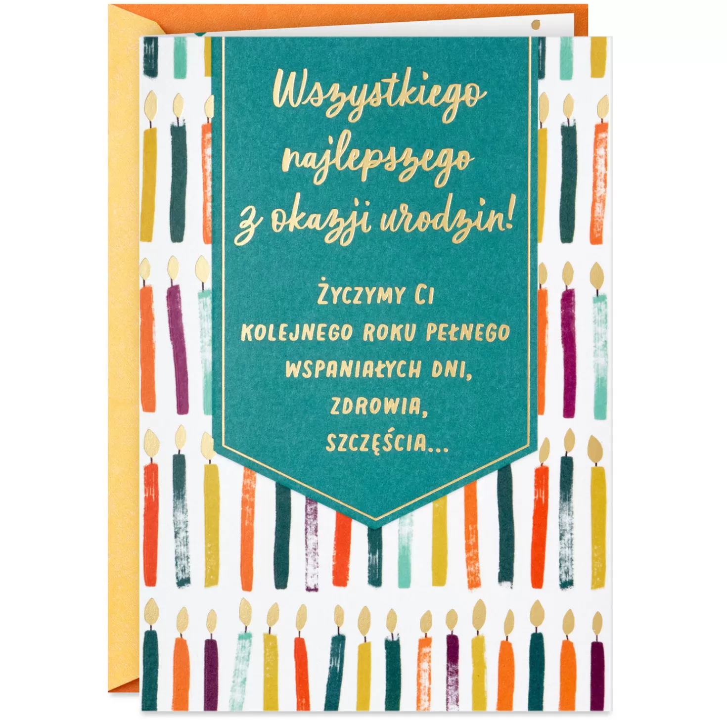 Birthday>Hallmark Wishing You Good Everything Polish-Language Birthday Card