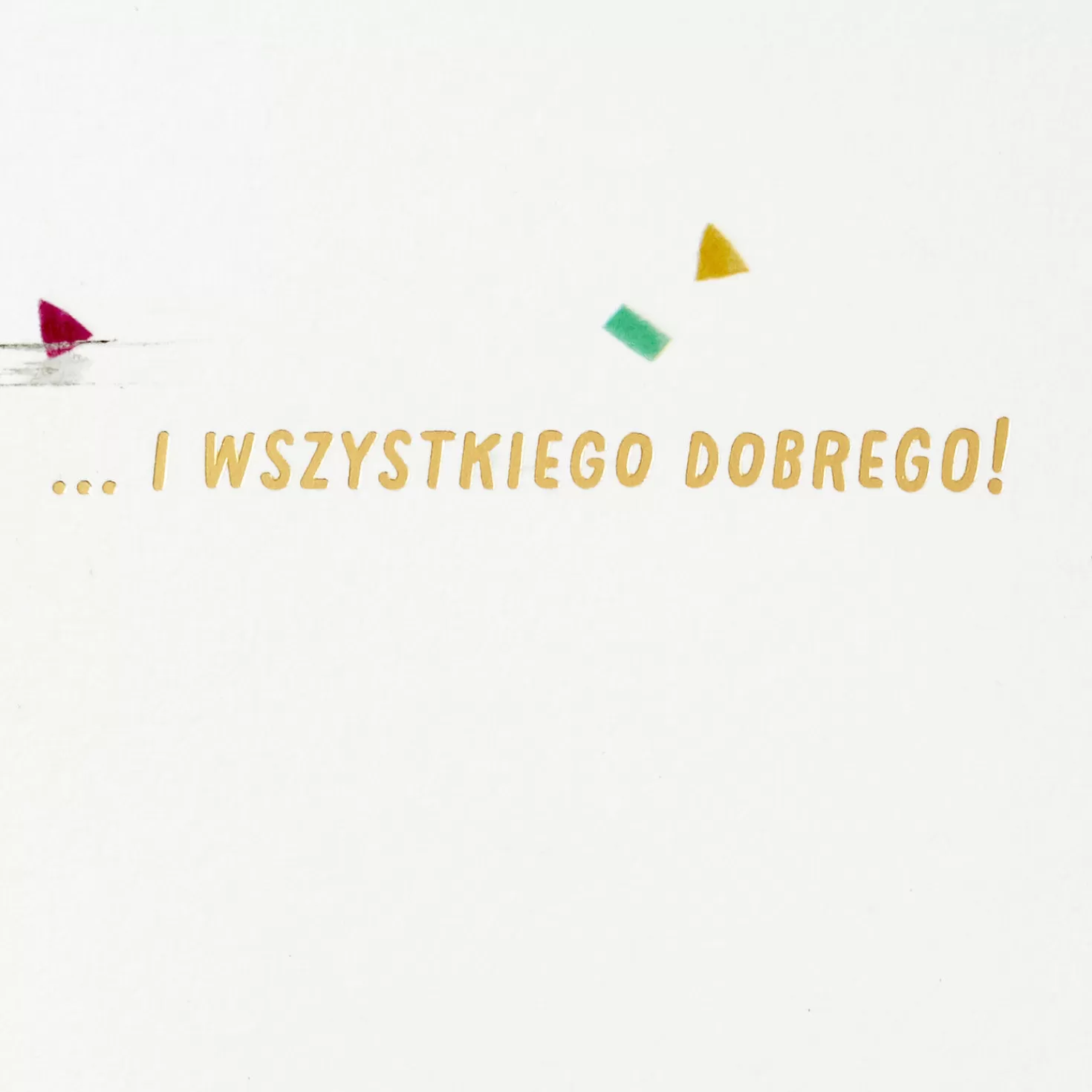 Birthday>Hallmark Wishing You Good Everything Polish-Language Birthday Card